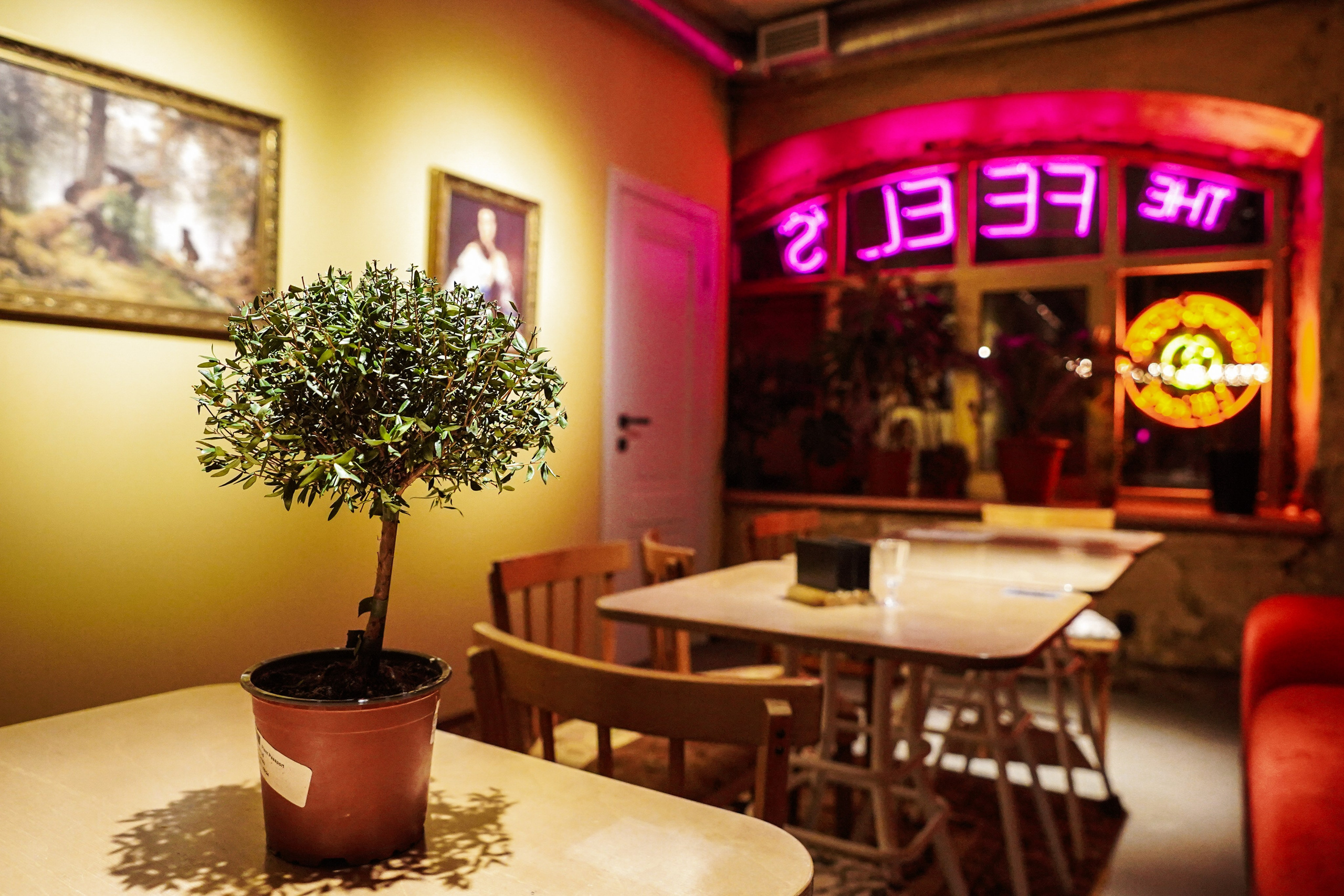 Бильярдная. ОЧЕНЬ ПЛОХОЙ ФОТОГРАФ