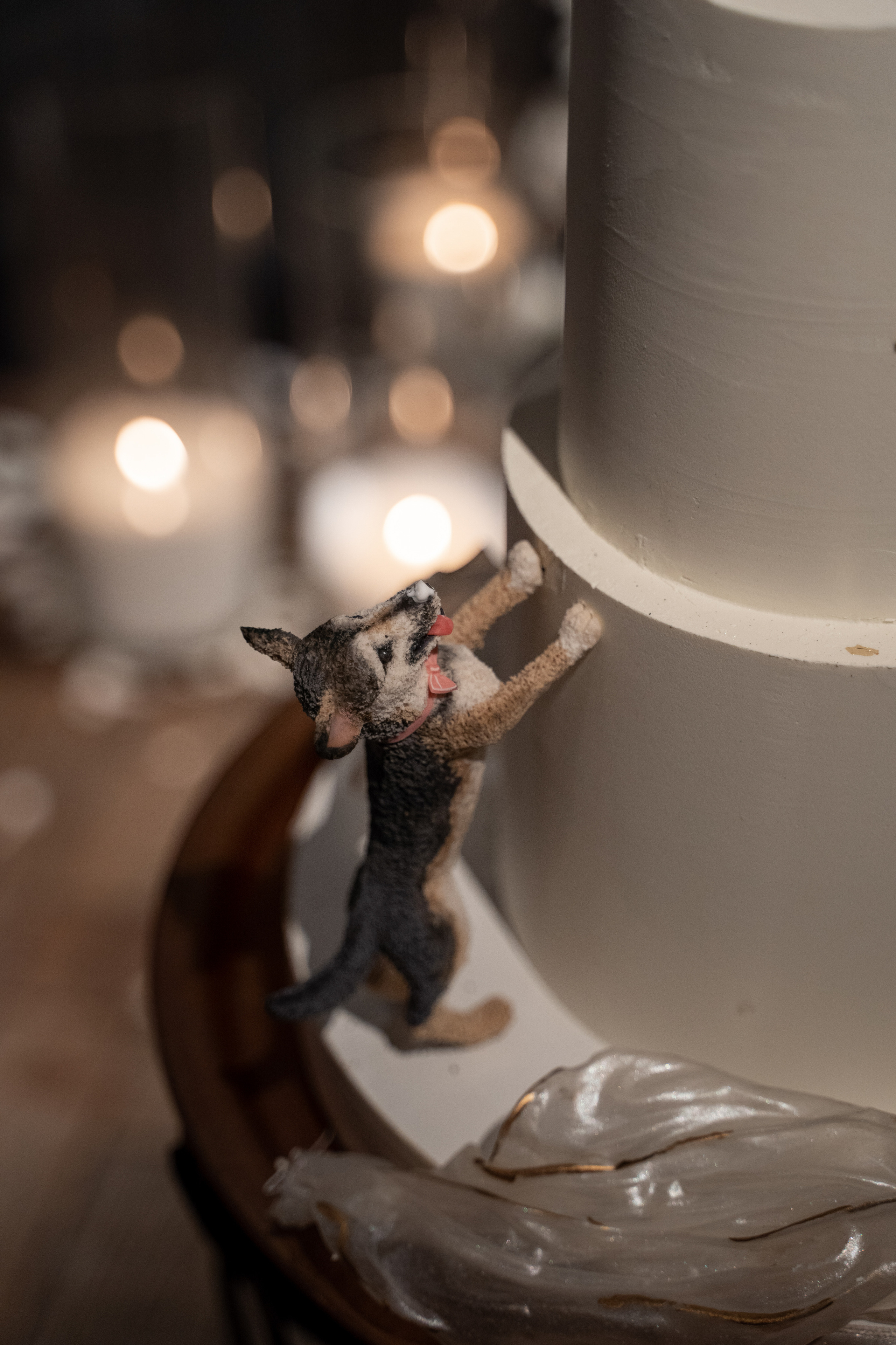 Владислав и Елена 08.08.22. Aesthetic Weddgency | Свадебное агентство