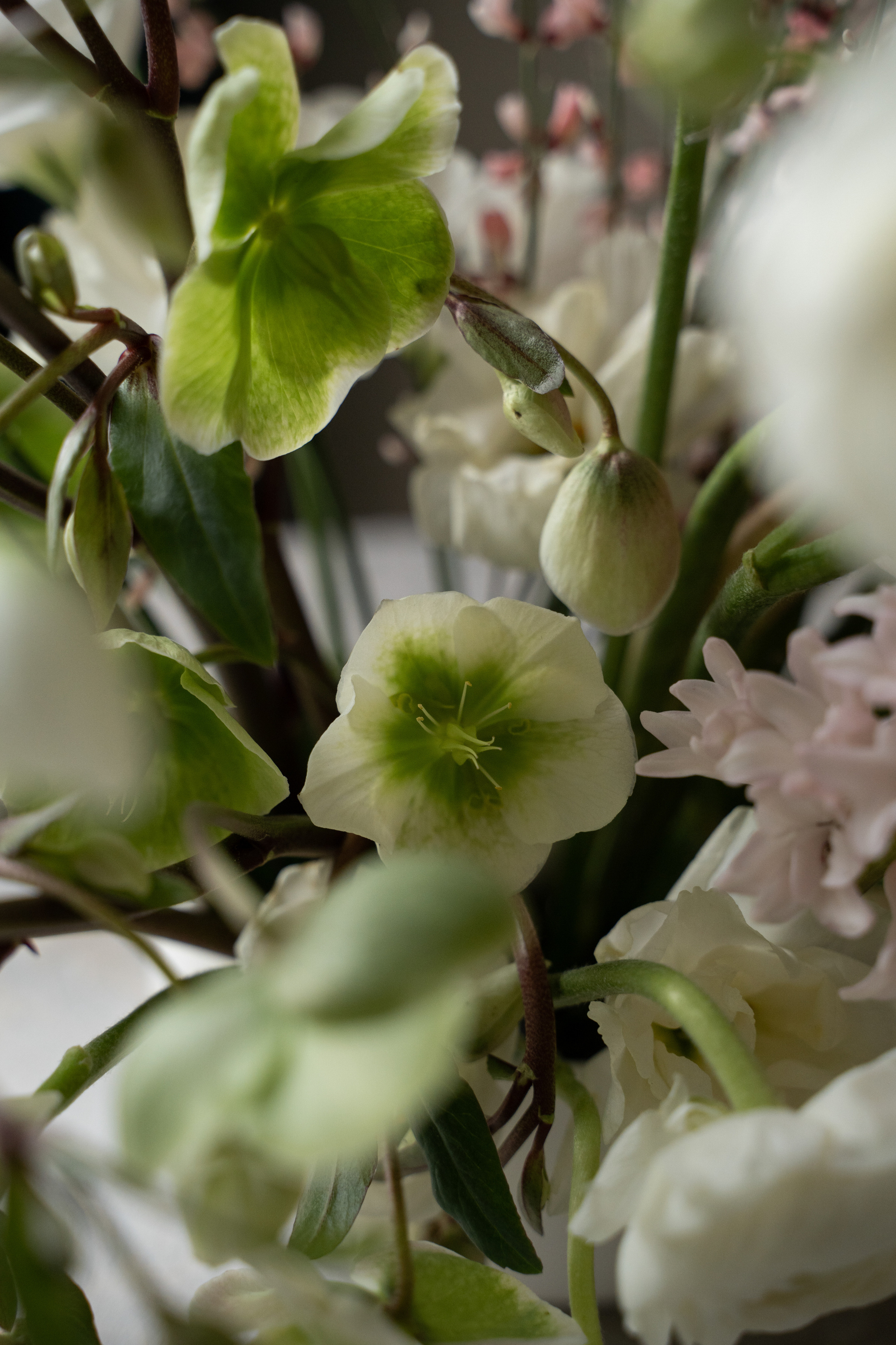 Муза 03.02.23. Aesthetic Weddgency | Свадебное агентство