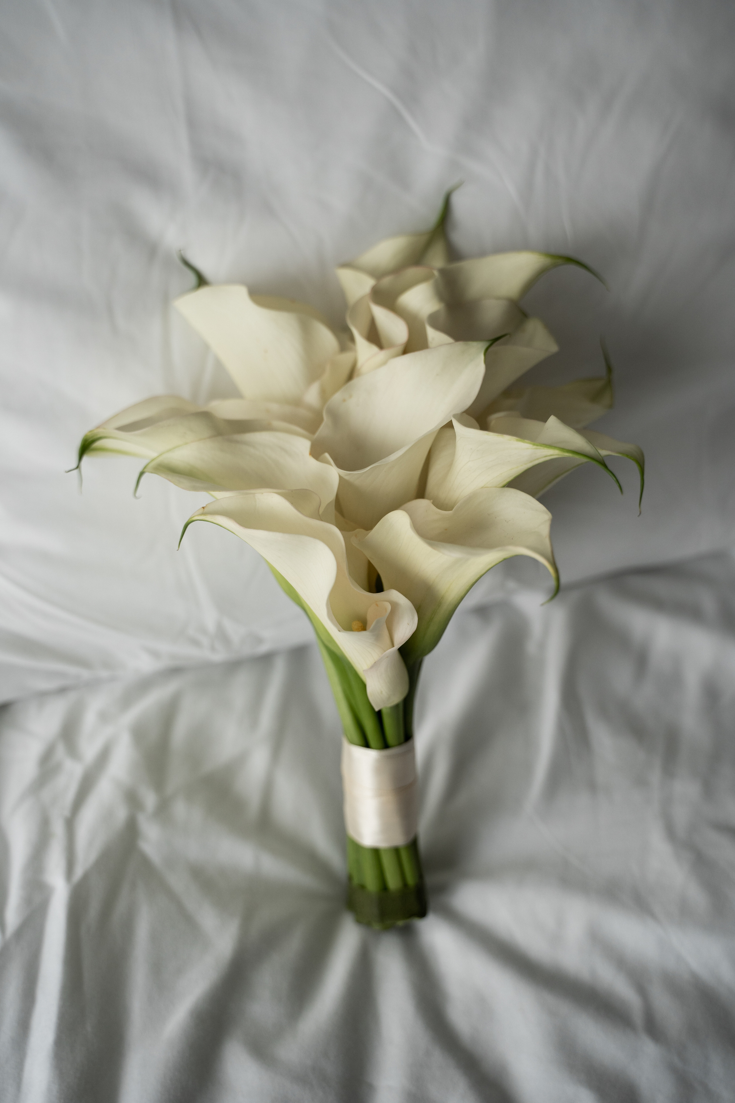 Владислав и Елена 08.08.22. Aesthetic Weddgency | Свадебное агентство