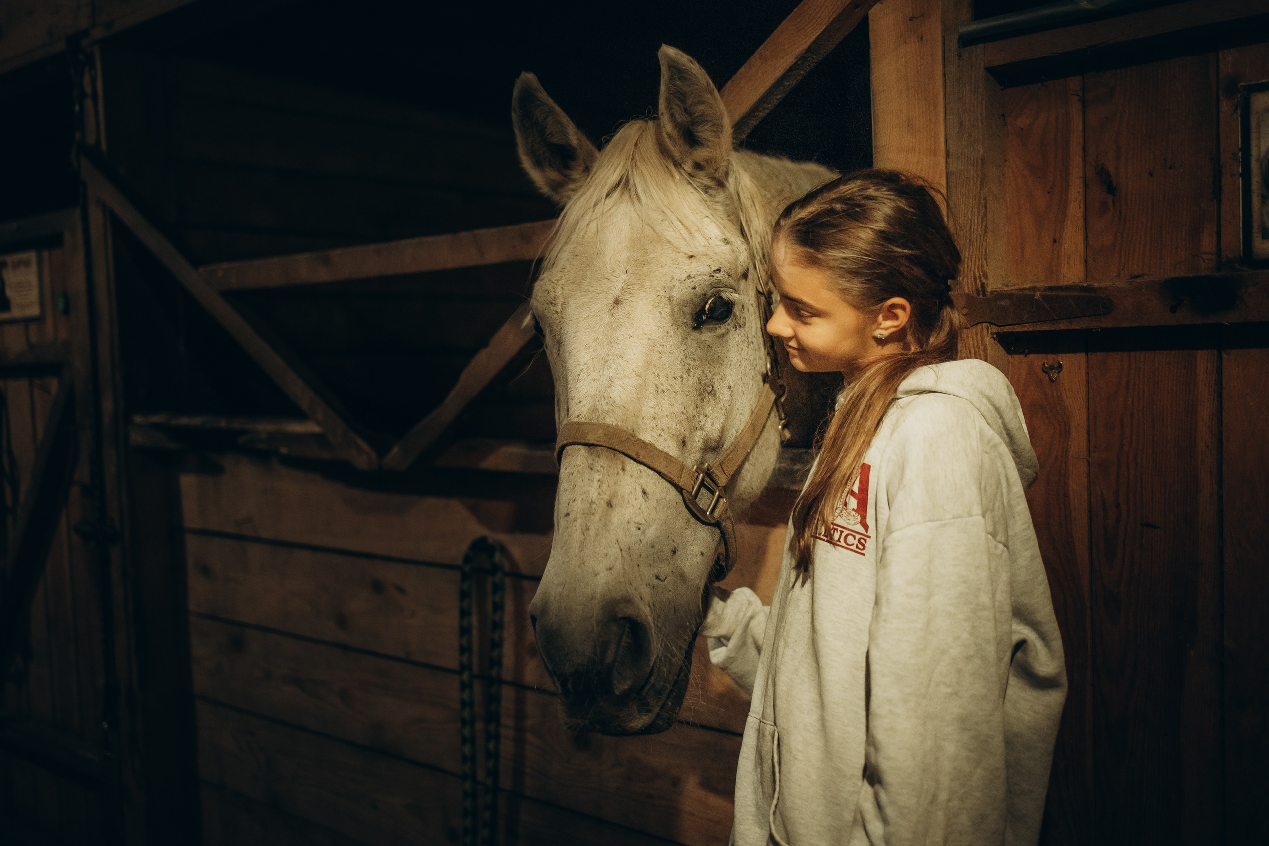 Лошади. Ваш фотограф в Москве и области Юлия