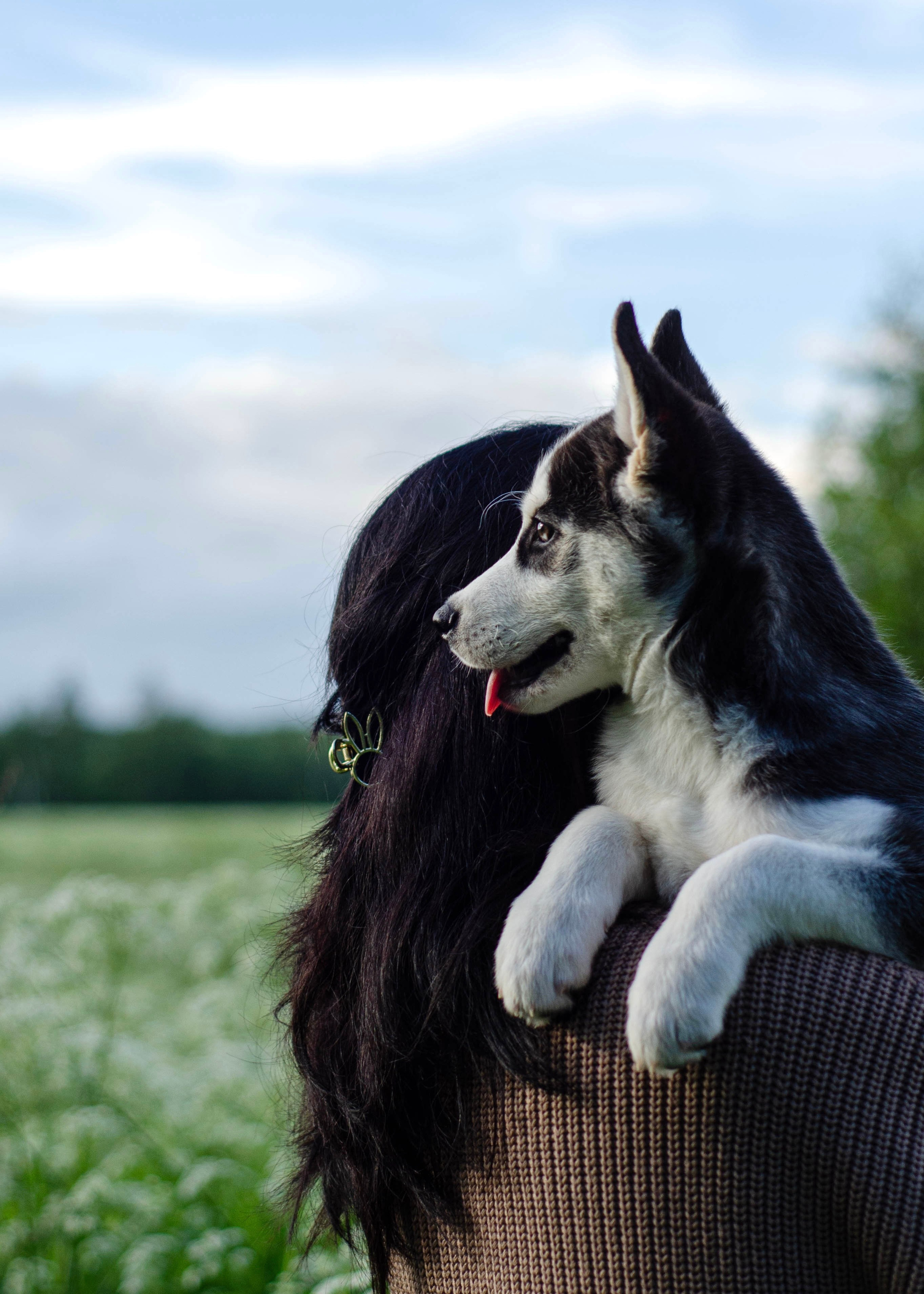 Прогулки с питомцами и без. Фотограф анималист