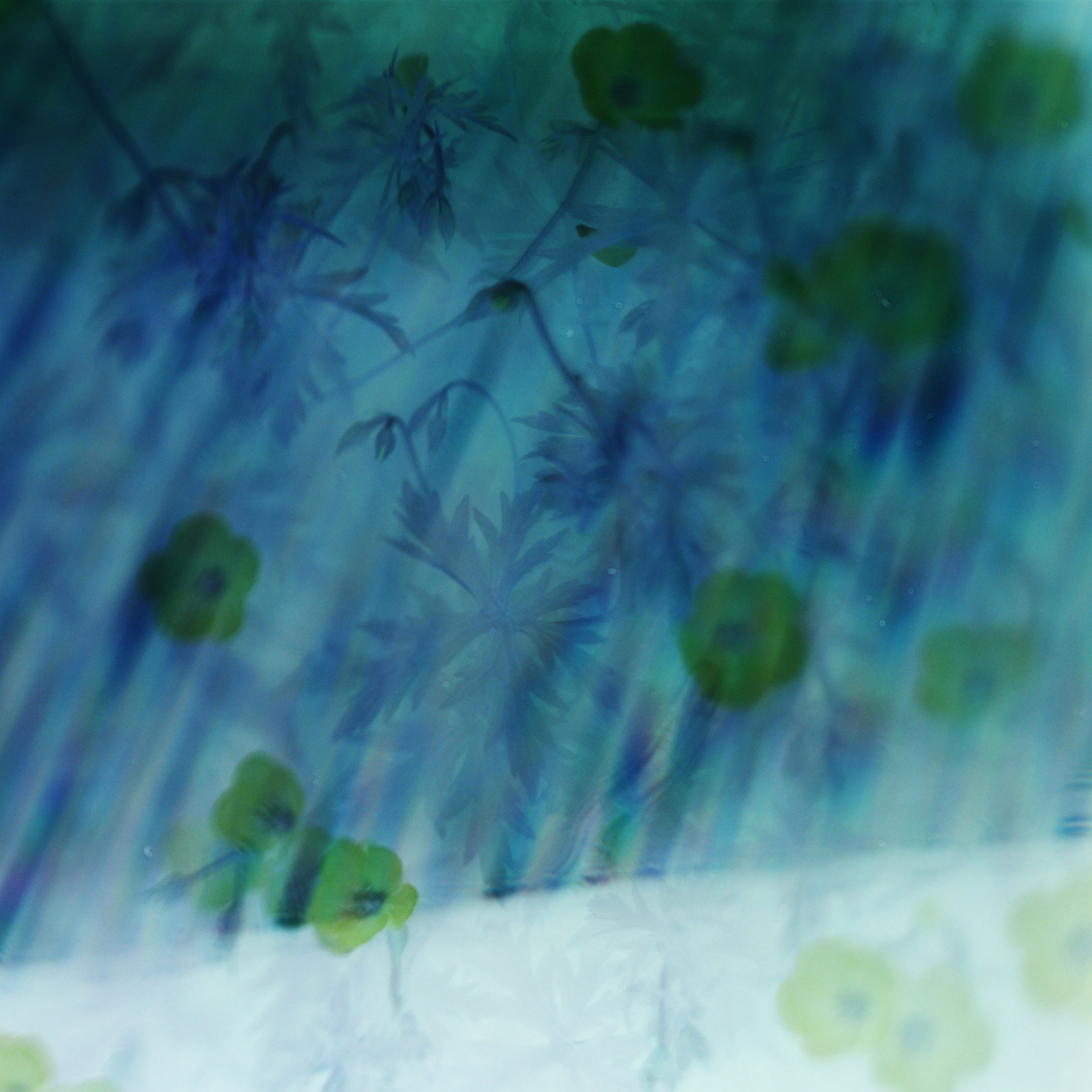 Юля Германович | Сад. Private image