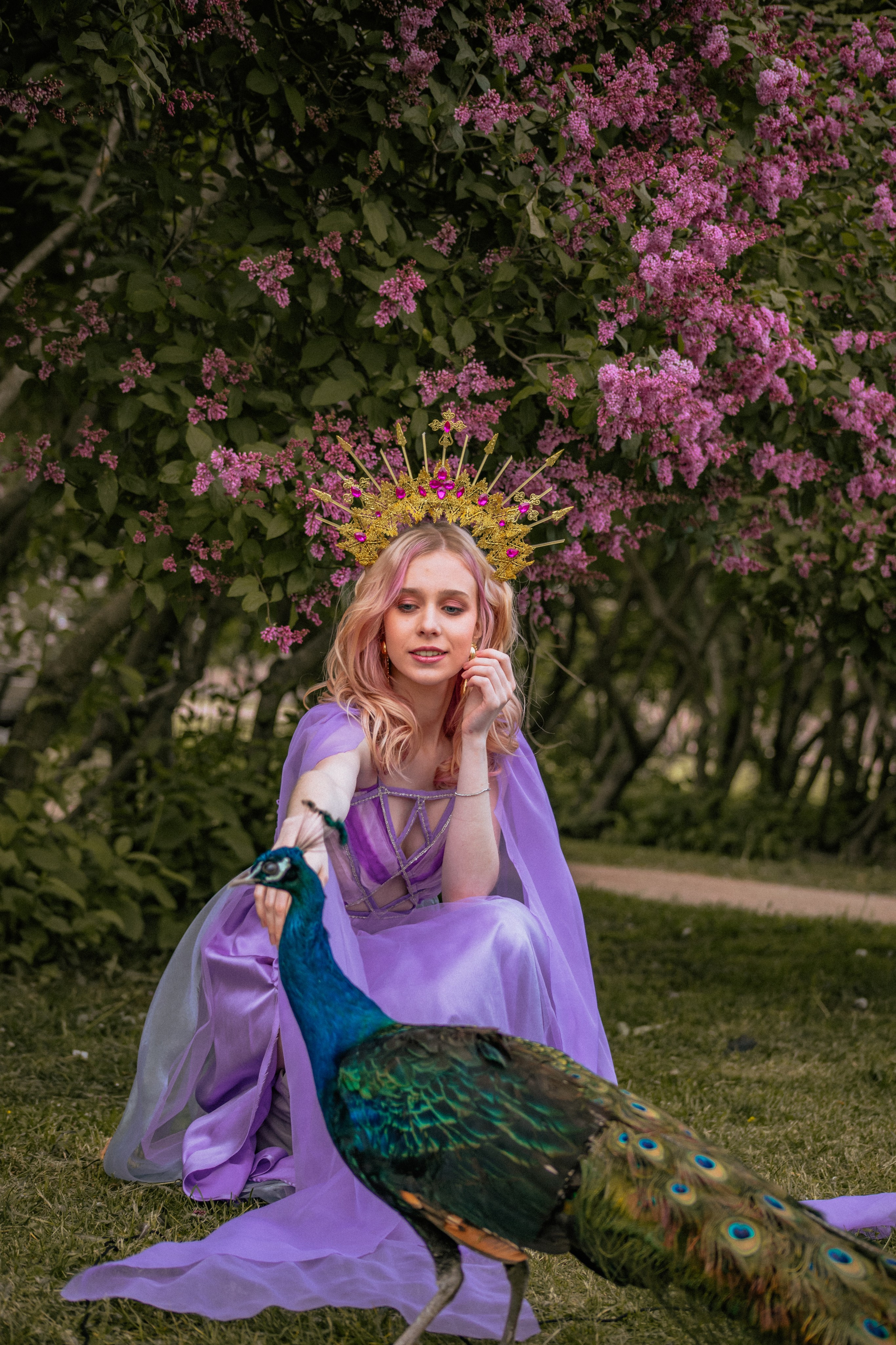 Павлин. Elena Sova — семейный и женский фотограф в Санкт-Петербурге