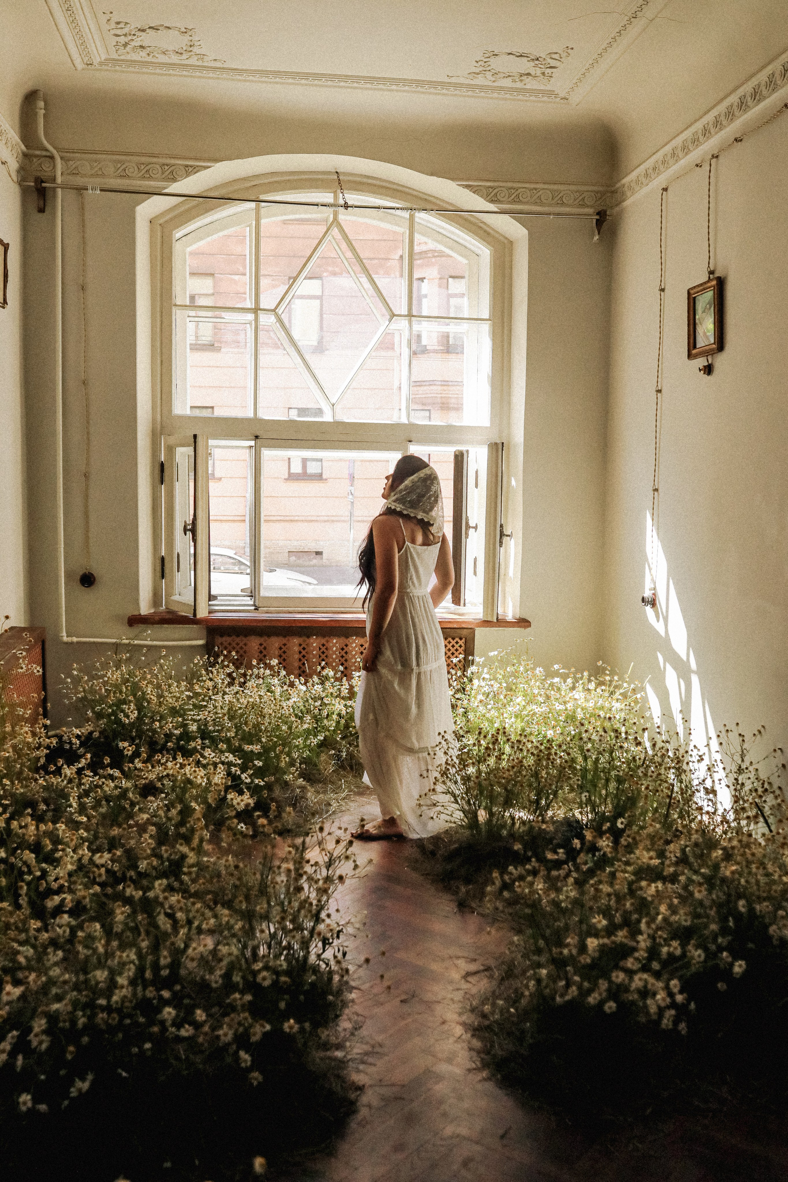 Сон в летнюю ночь | Ромашковое поле