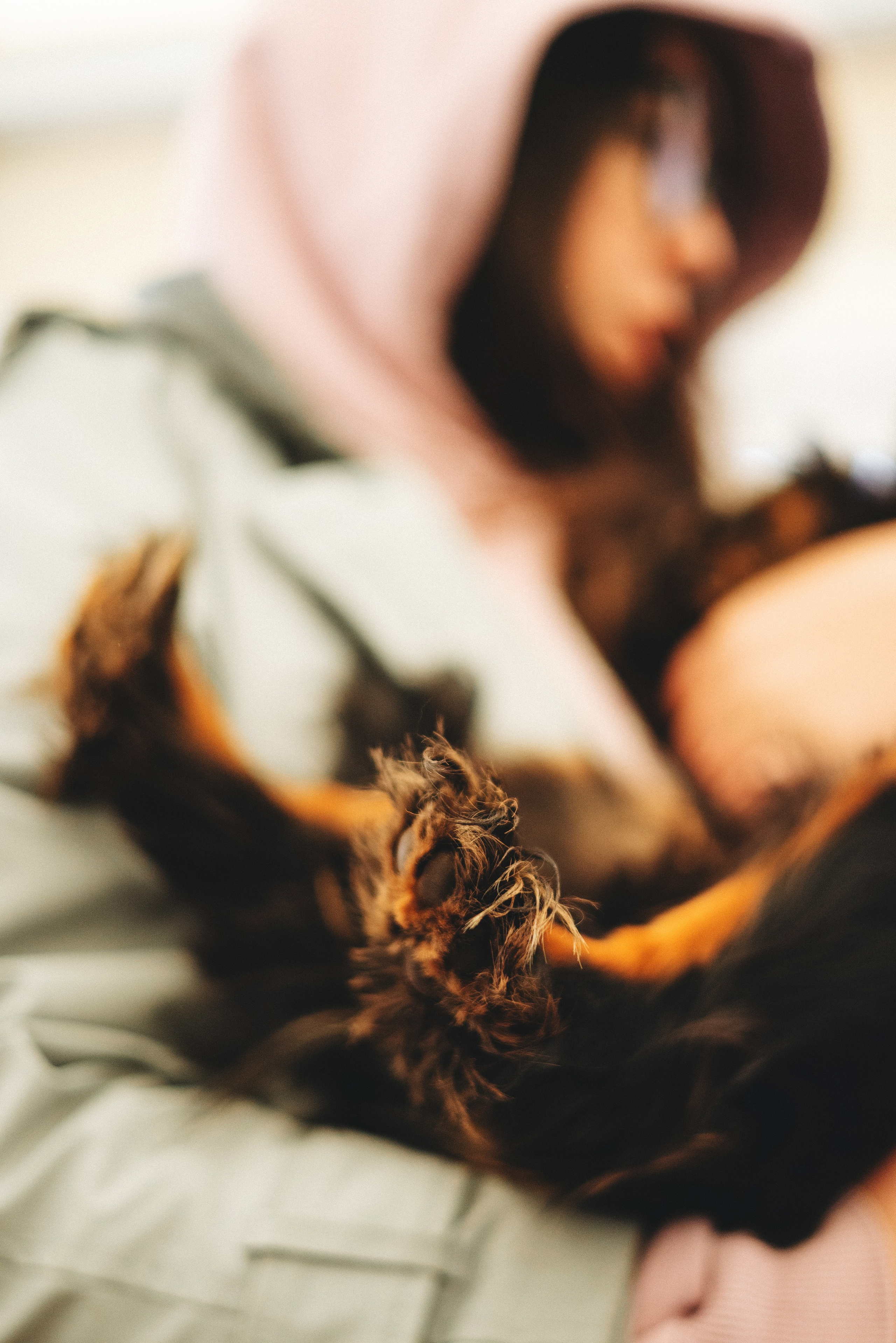 Встреча ККЧС. Фотограф анималист Осипчикова Мария