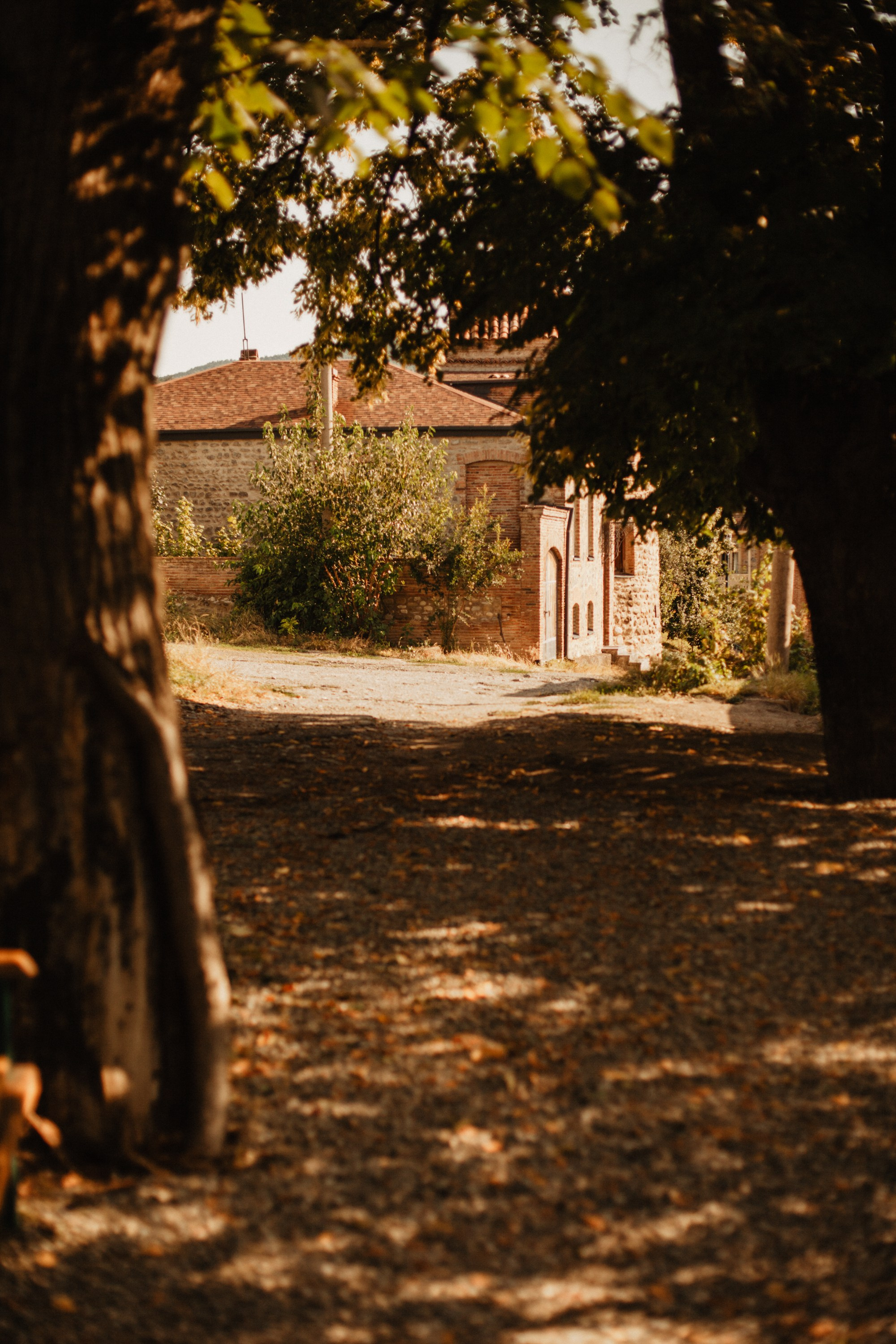 Грузинские каникулы. Violetta Skripka