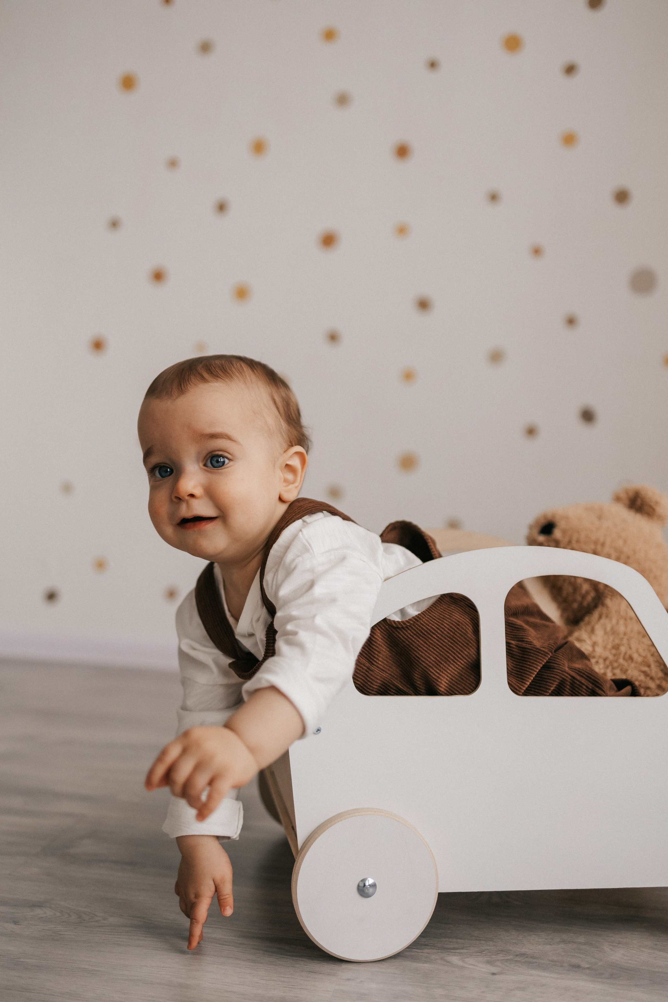 Льву 1 годик. Фотограф Нижний Новгород