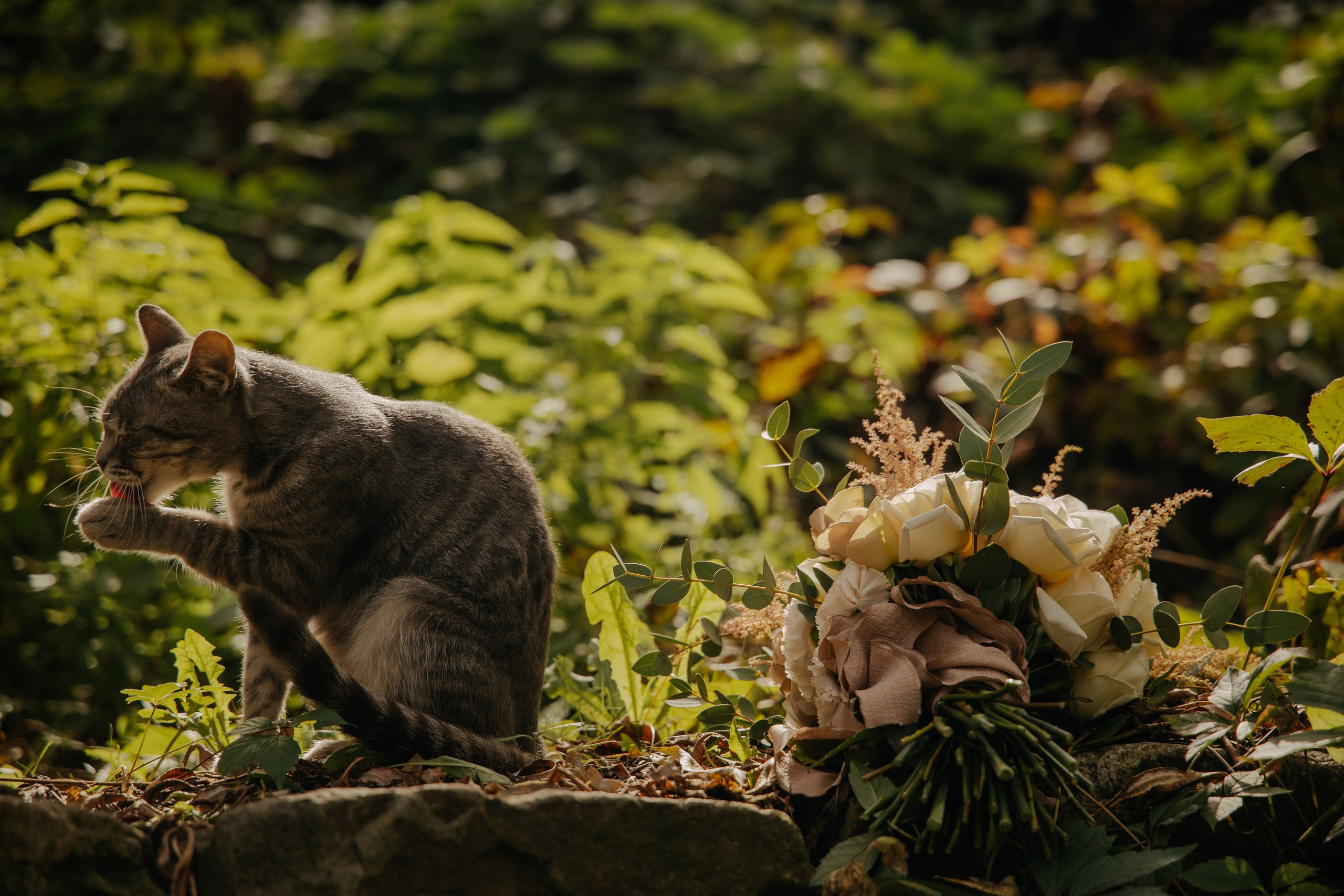 Алексей и Валерия. Свадебный организатор в Ростове-на-Дону Яснов Роман