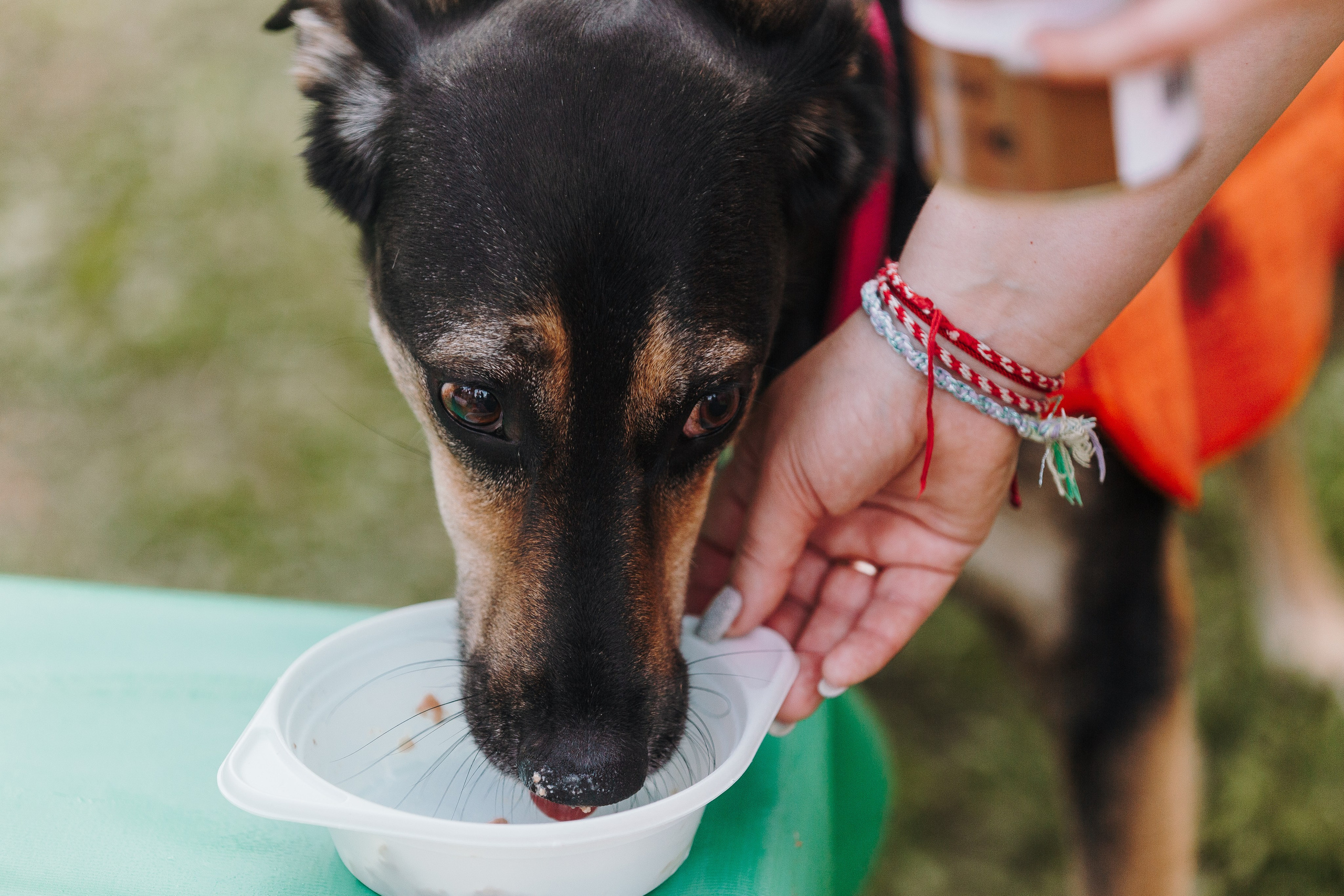 Petshop Sup day. Фотограф анималист Кристина Карпова, Москва