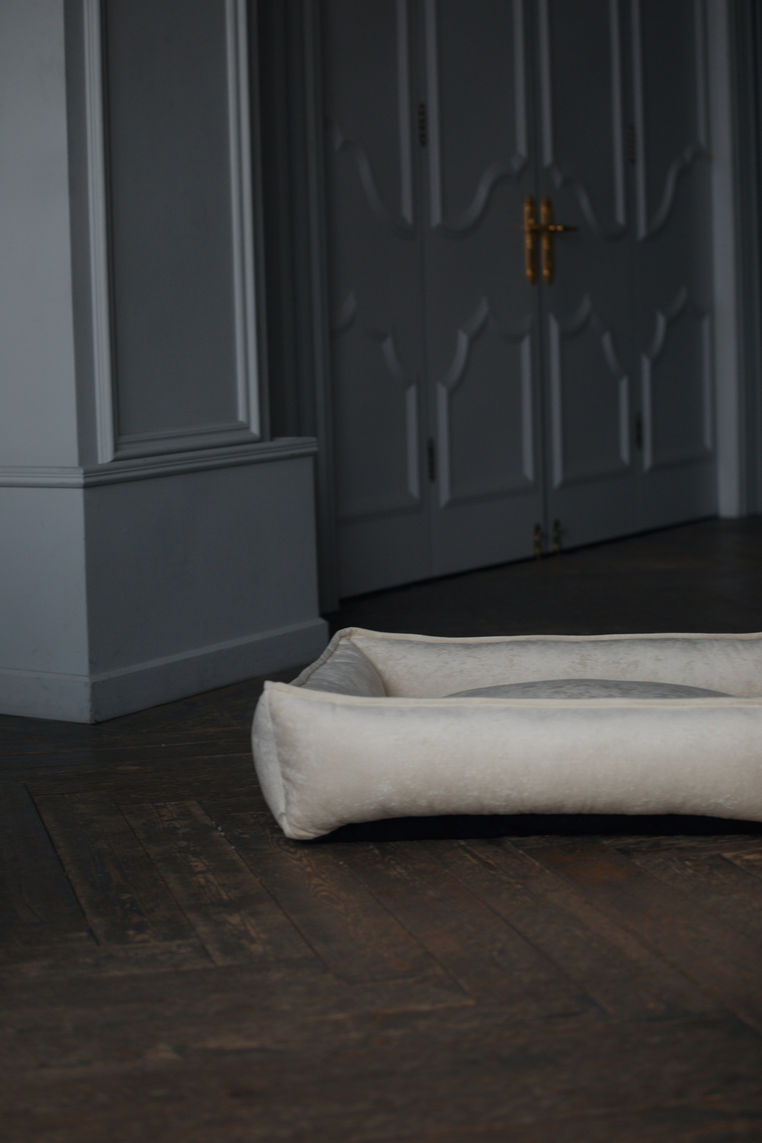 Bmbh лежанки и адресники. Фотограф анималист Кристина Карпова, Москва