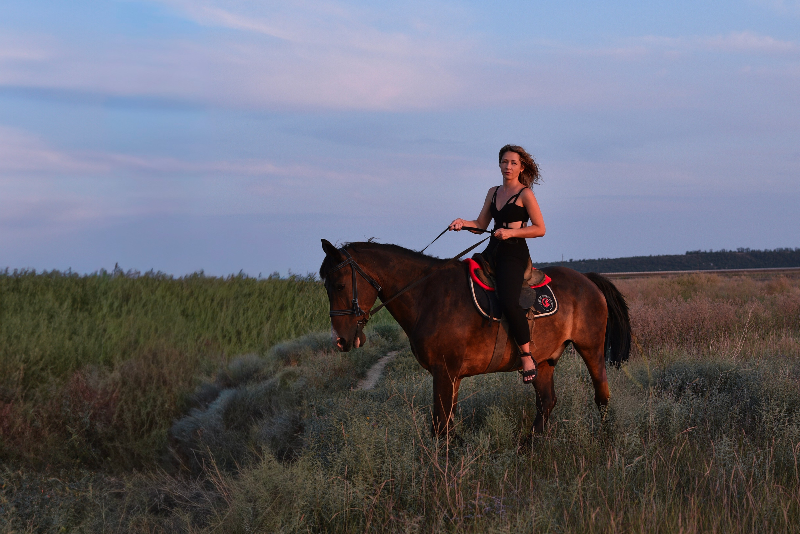 Леди и лошадь. Главная