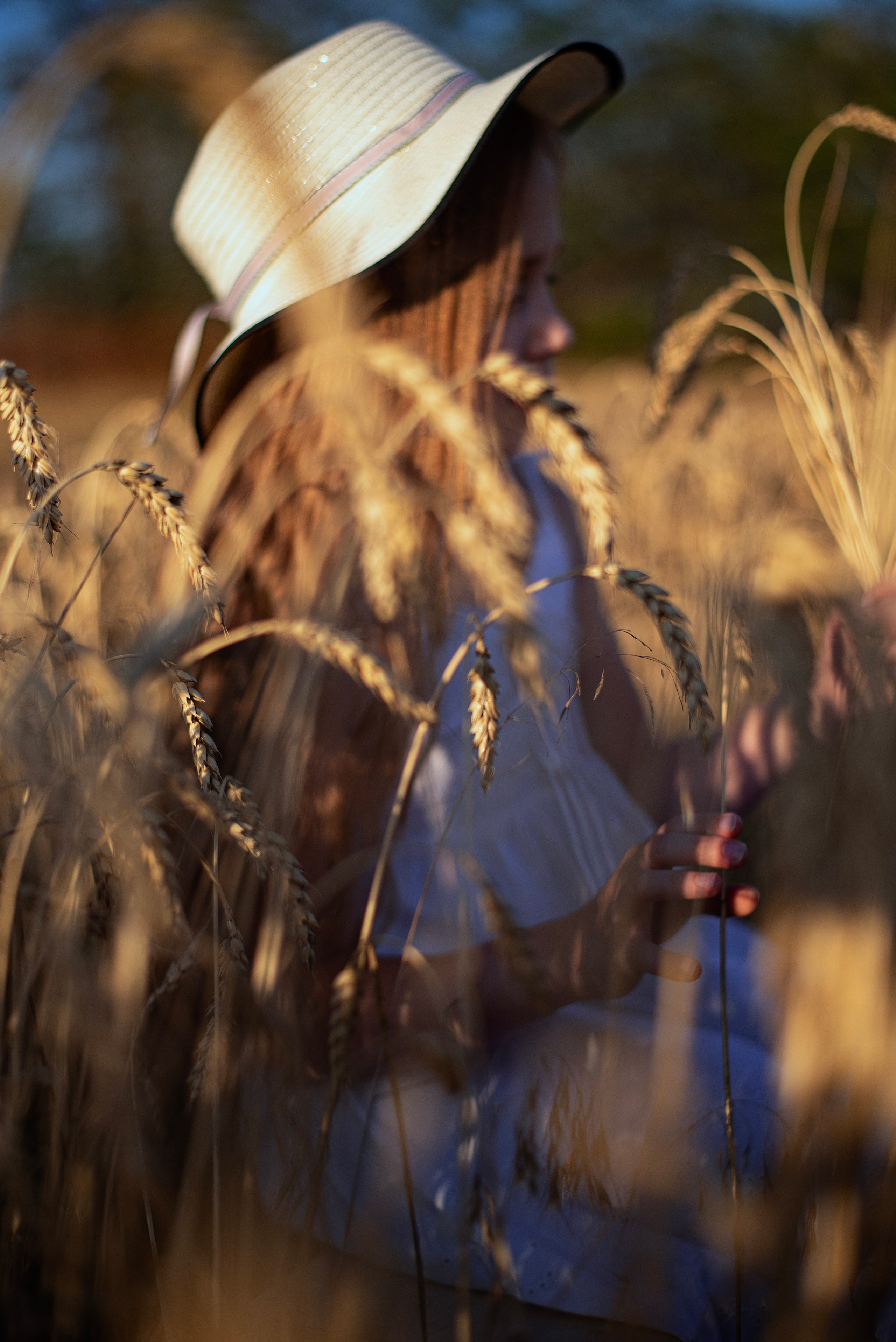 Пшеница. Главная