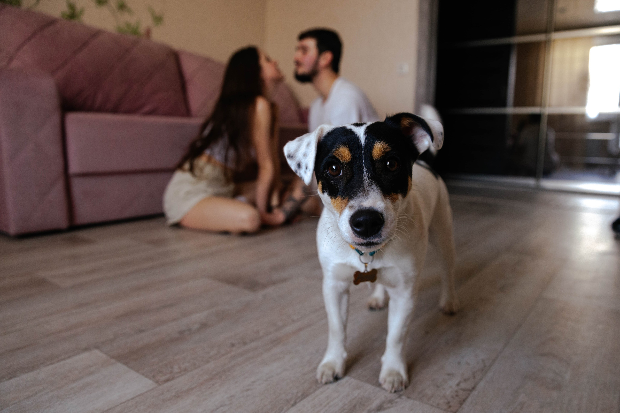 Дарья и Егор. Свадебный и семейный фотограф в Челябинске