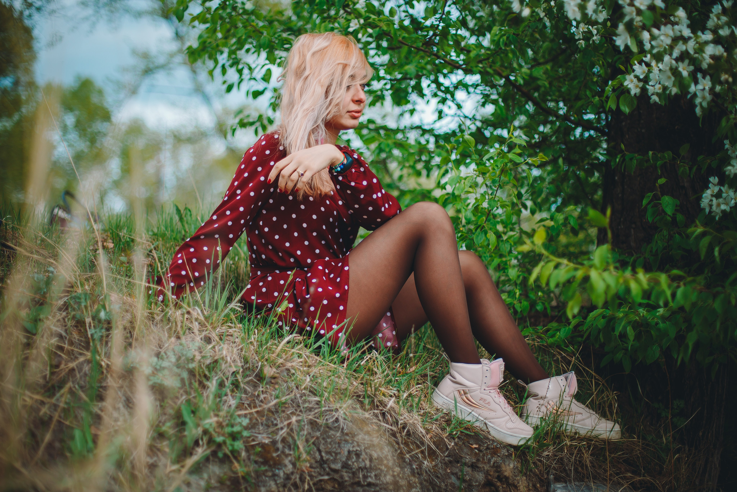 Яблони. Фотограф в Абакане Николай Окунев