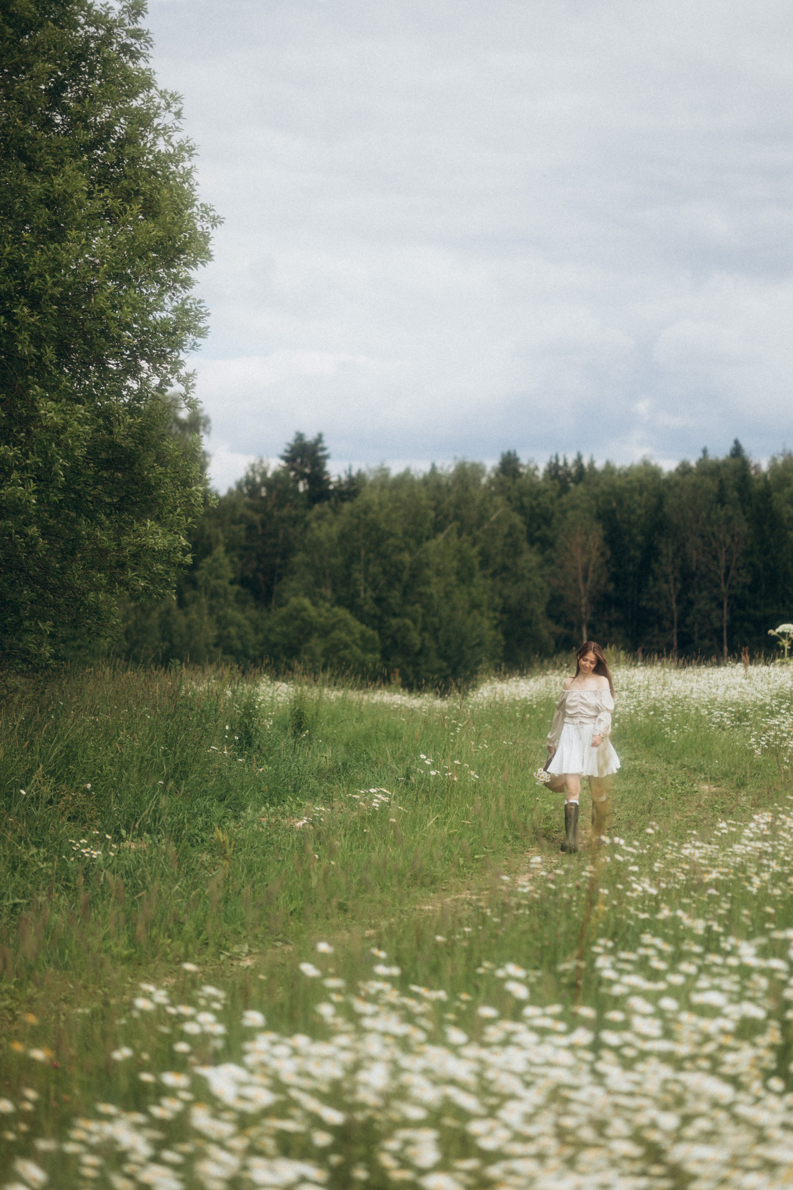 Ромашковое море. Фотограф Валерия Ковпак. Москва. Химки. Куркино