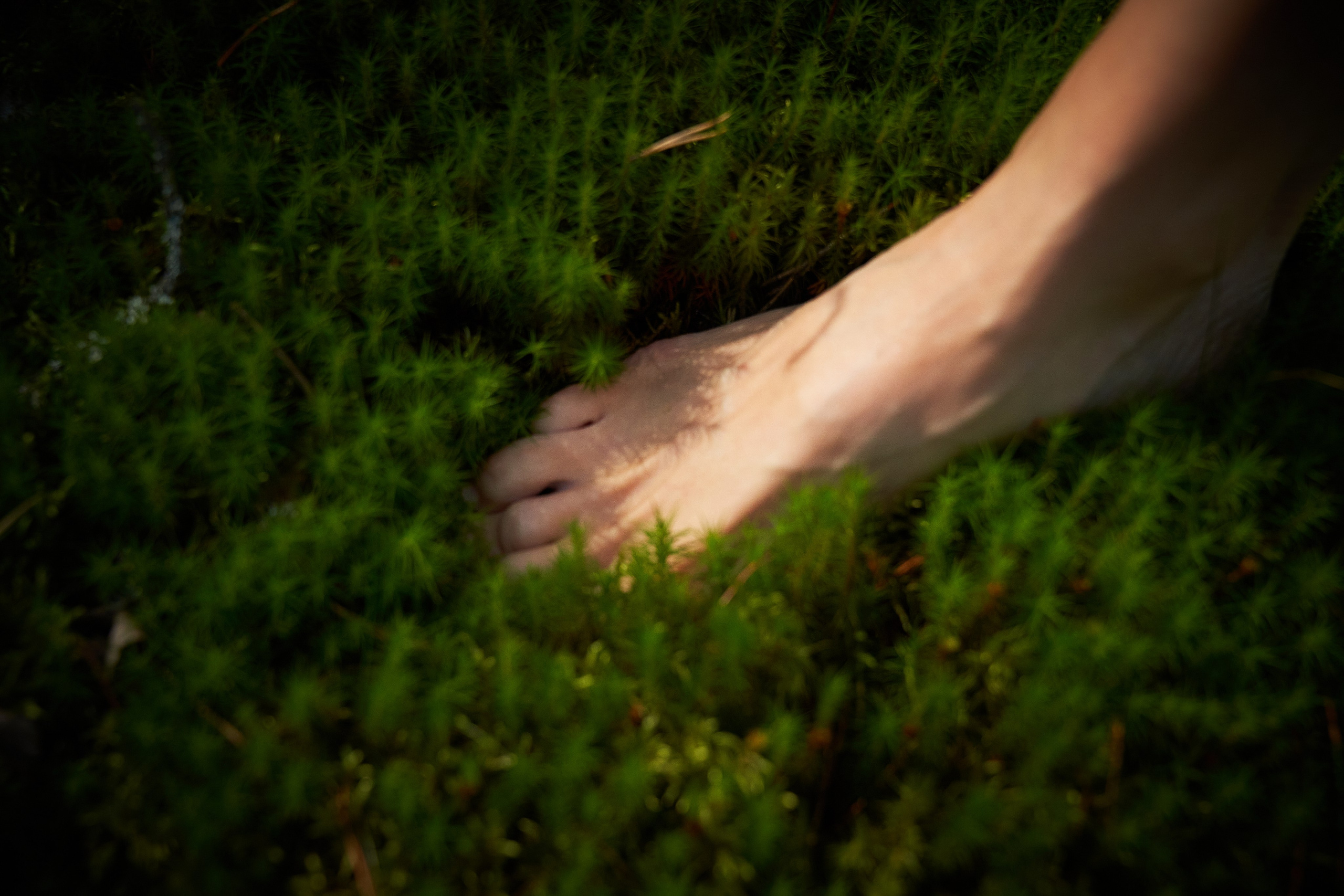 Маргарита. Дзешульская, фотограф