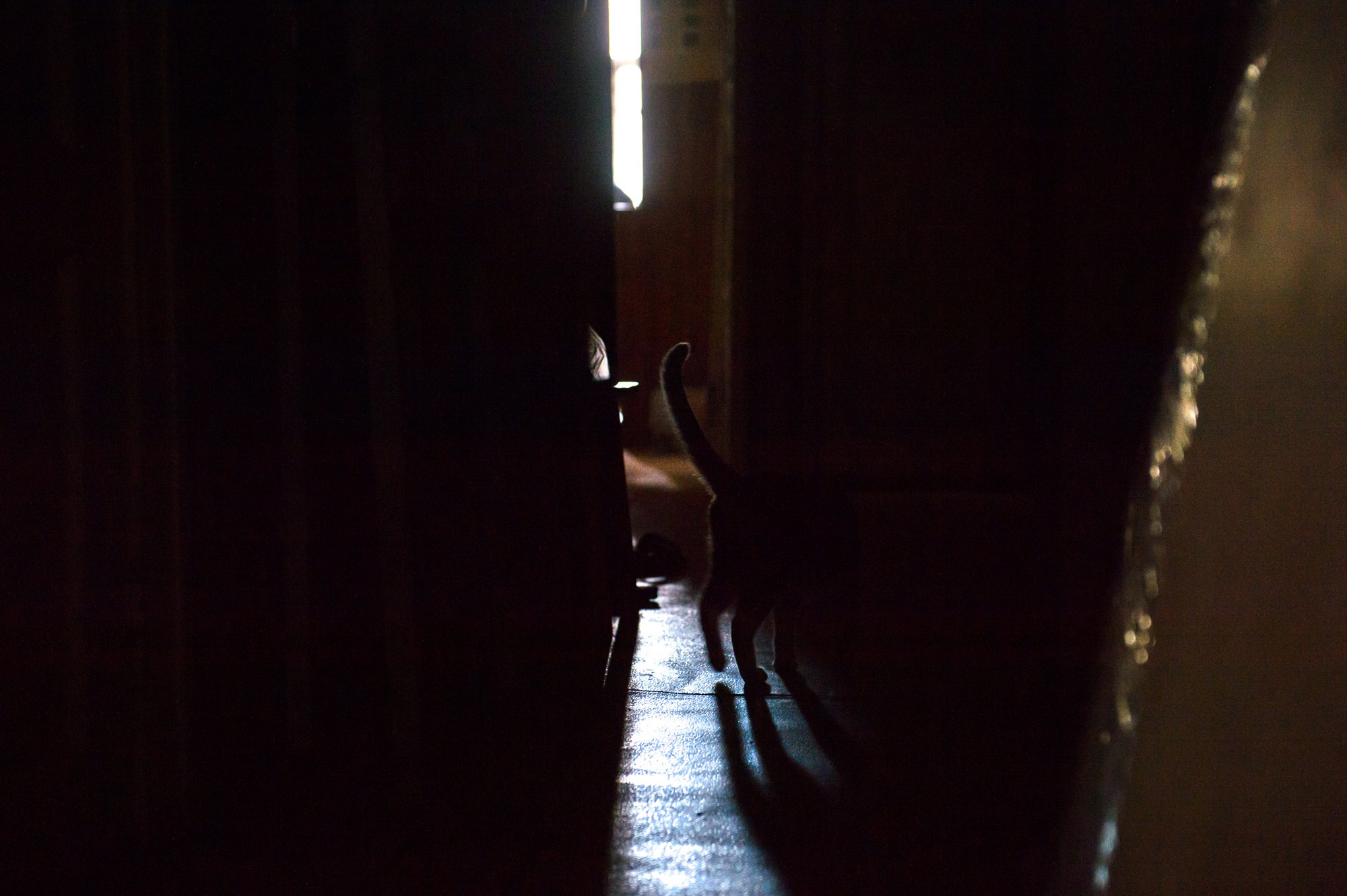 Квартира. Фотограф Алиса Калинина