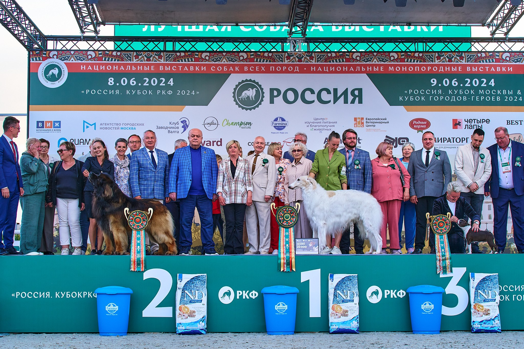 08.06.2024 «РОССИЯ. КУБОК РКФ 2024»