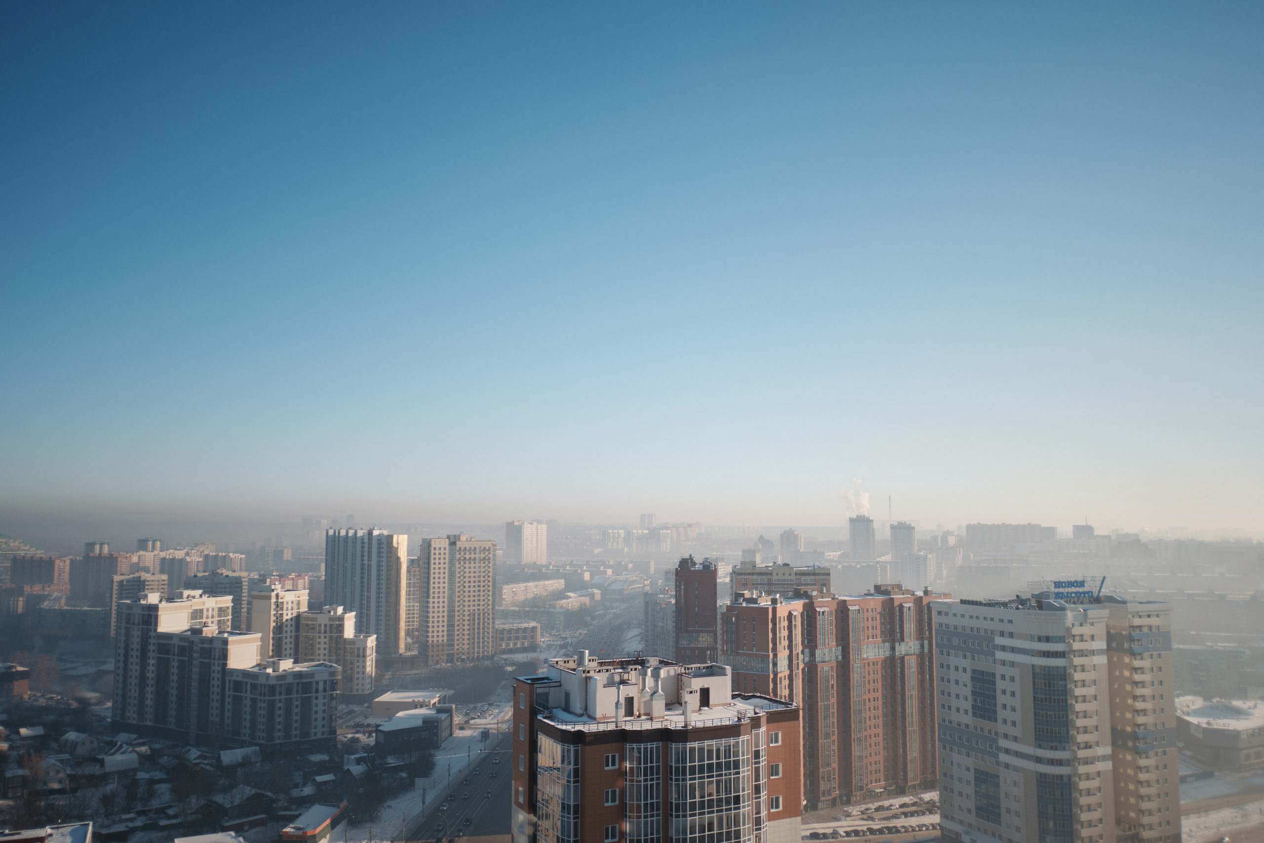 Chou Chou — товары для животных. Артём Кузнецов, фотограф, Новосибирск