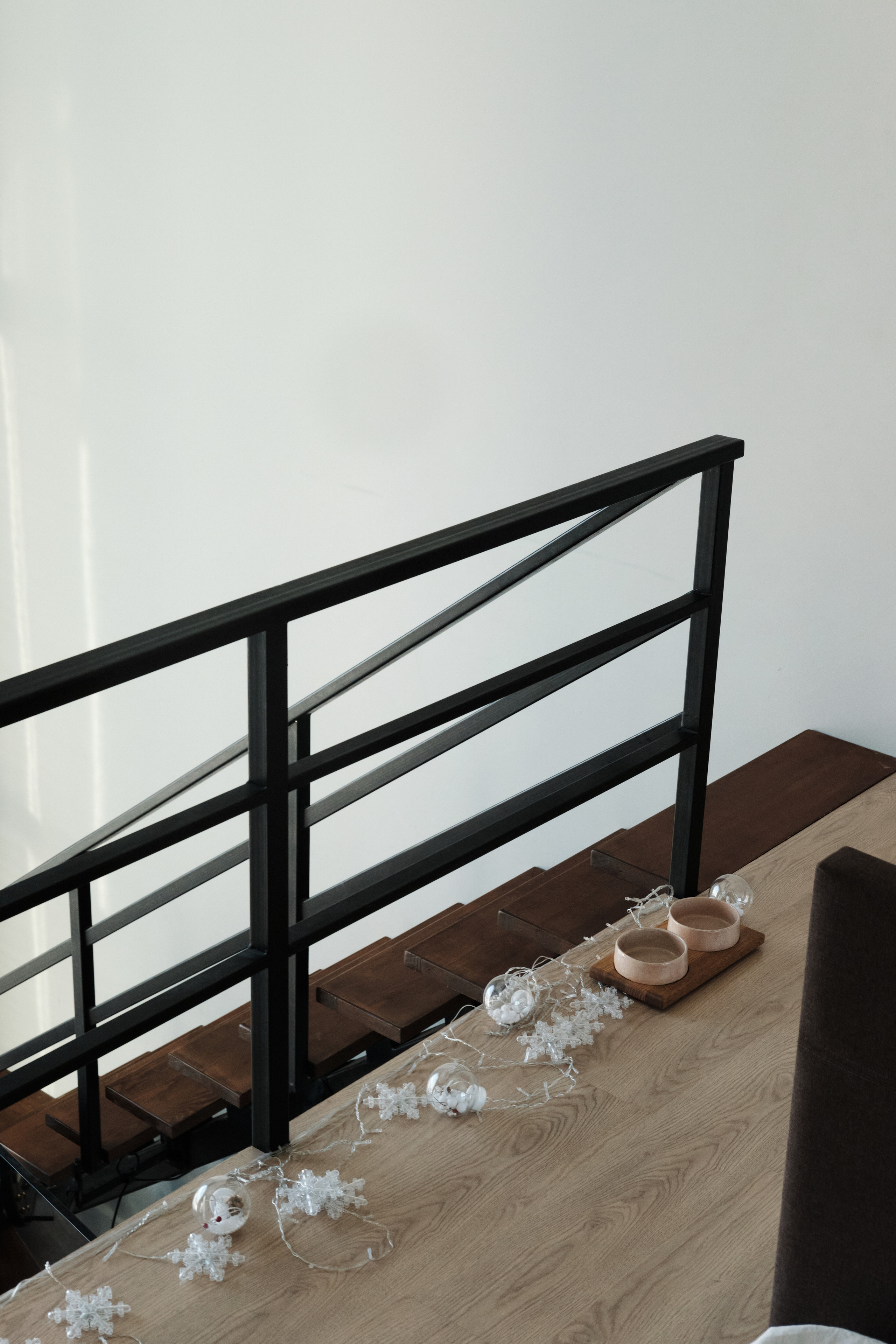 Chou Chou — товары для животных. Артём Кузнецов, фотограф, Новосибирск