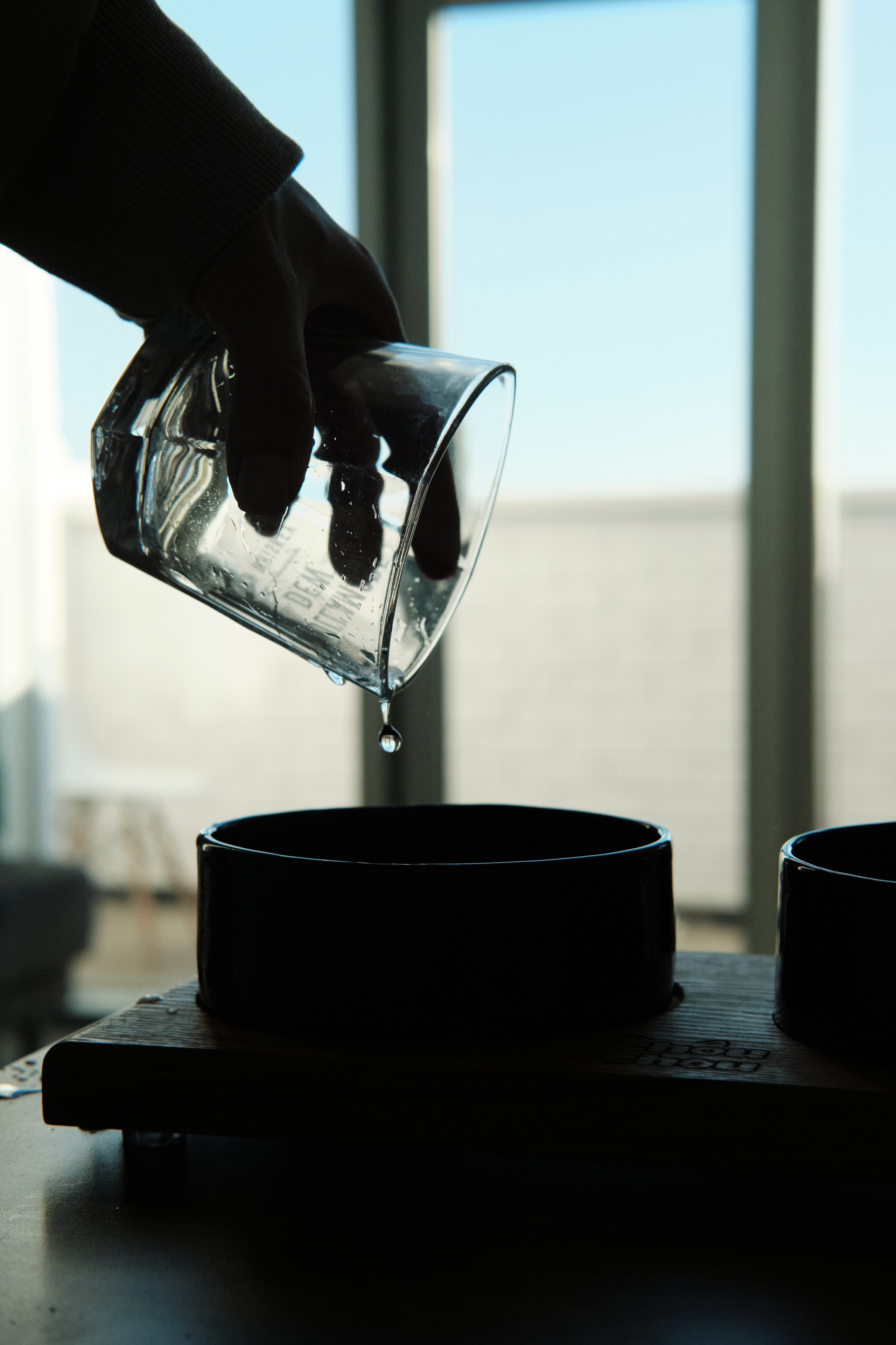 Chou Chou — товары для животных. Артём Кузнецов, фотограф, Новосибирск