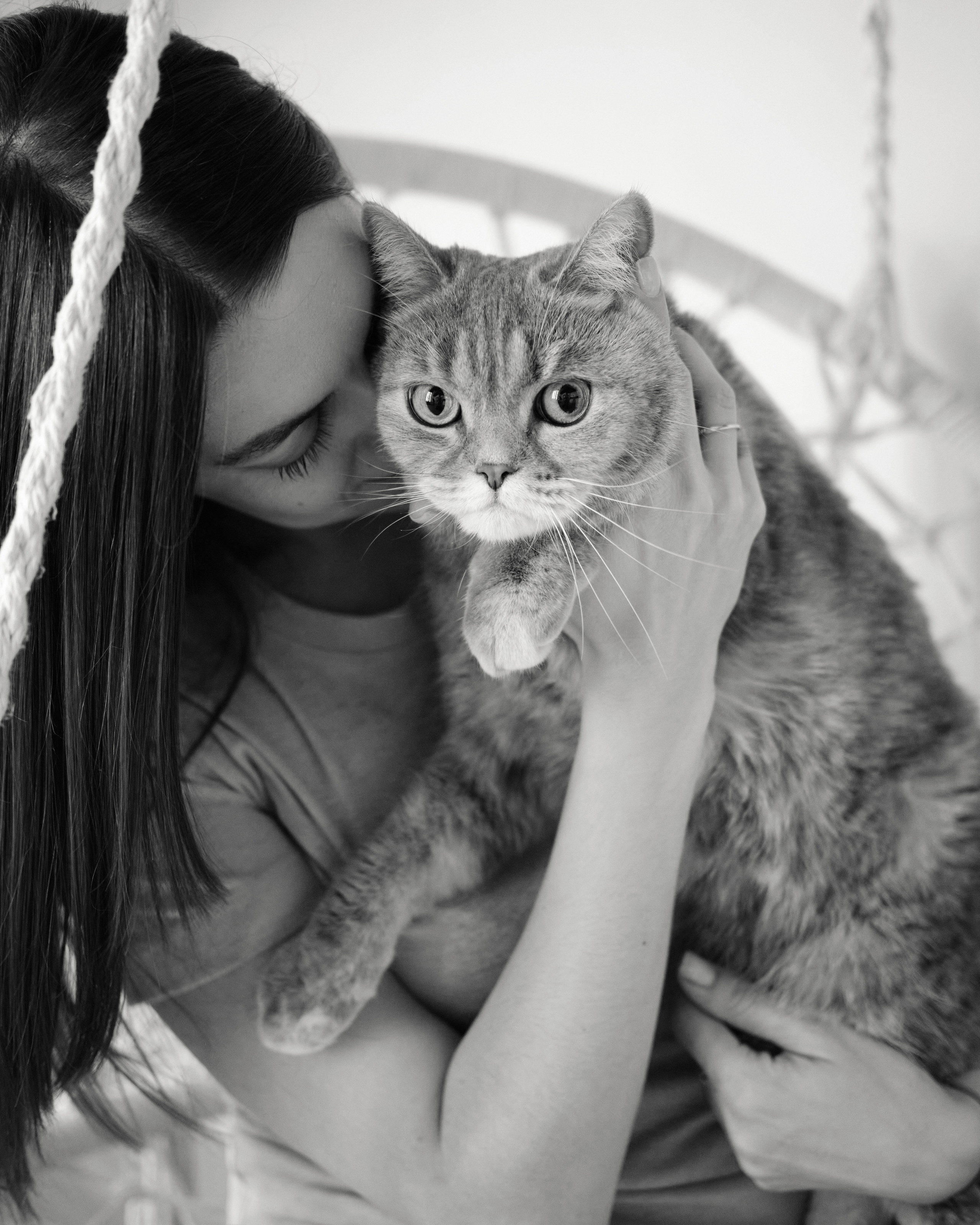 Chou Chou — товары для животных. Артём Кузнецов, фотограф, Новосибирск