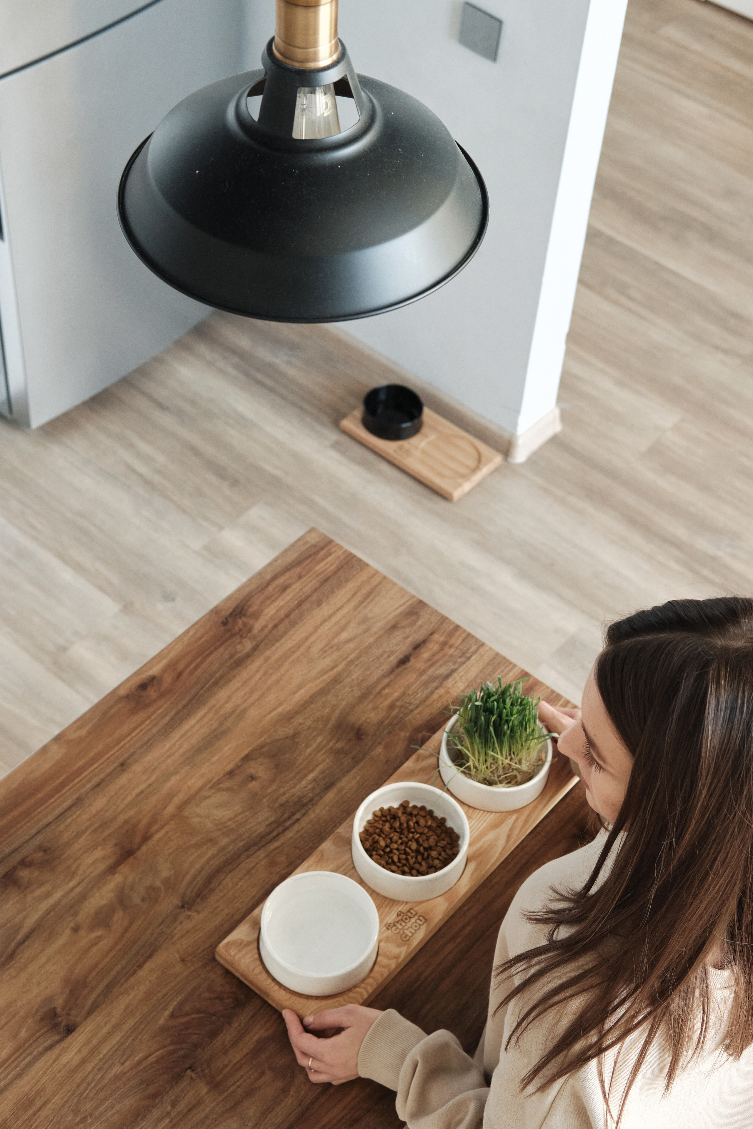 Chou Chou — товары для животных. Артём Кузнецов, фотограф, Новосибирск