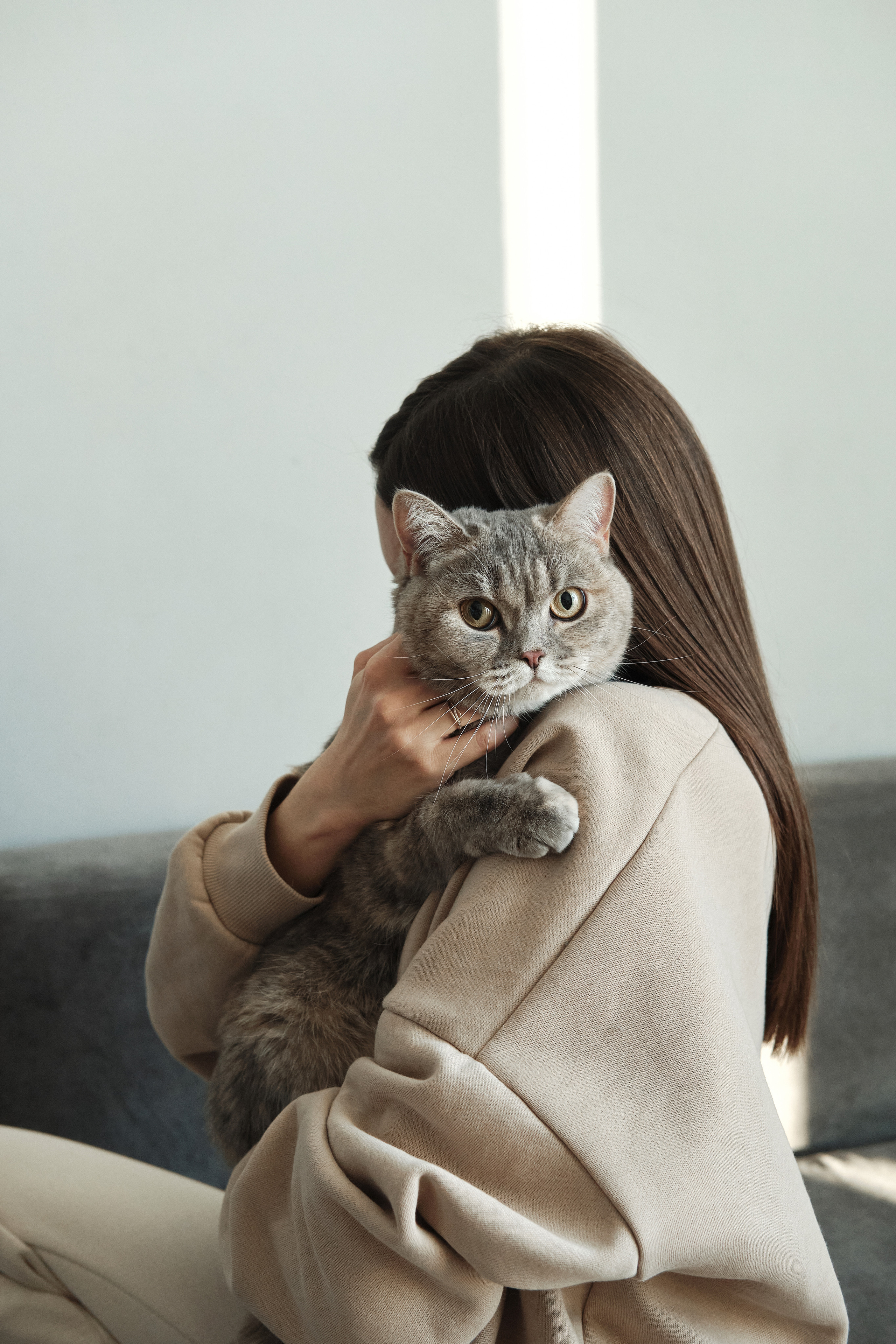 Chou Chou — товары для животных. Артём Кузнецов, фотограф, Новосибирск