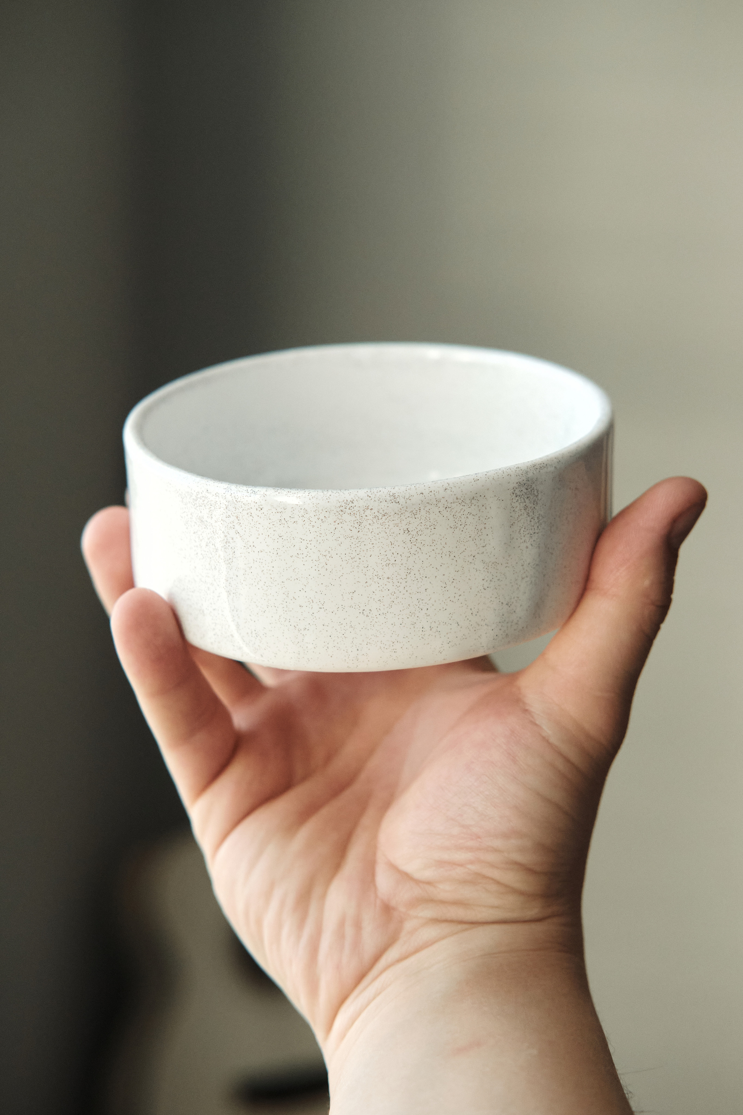 Chou Chou — товары для животных. Артём Кузнецов, фотограф, Новосибирск