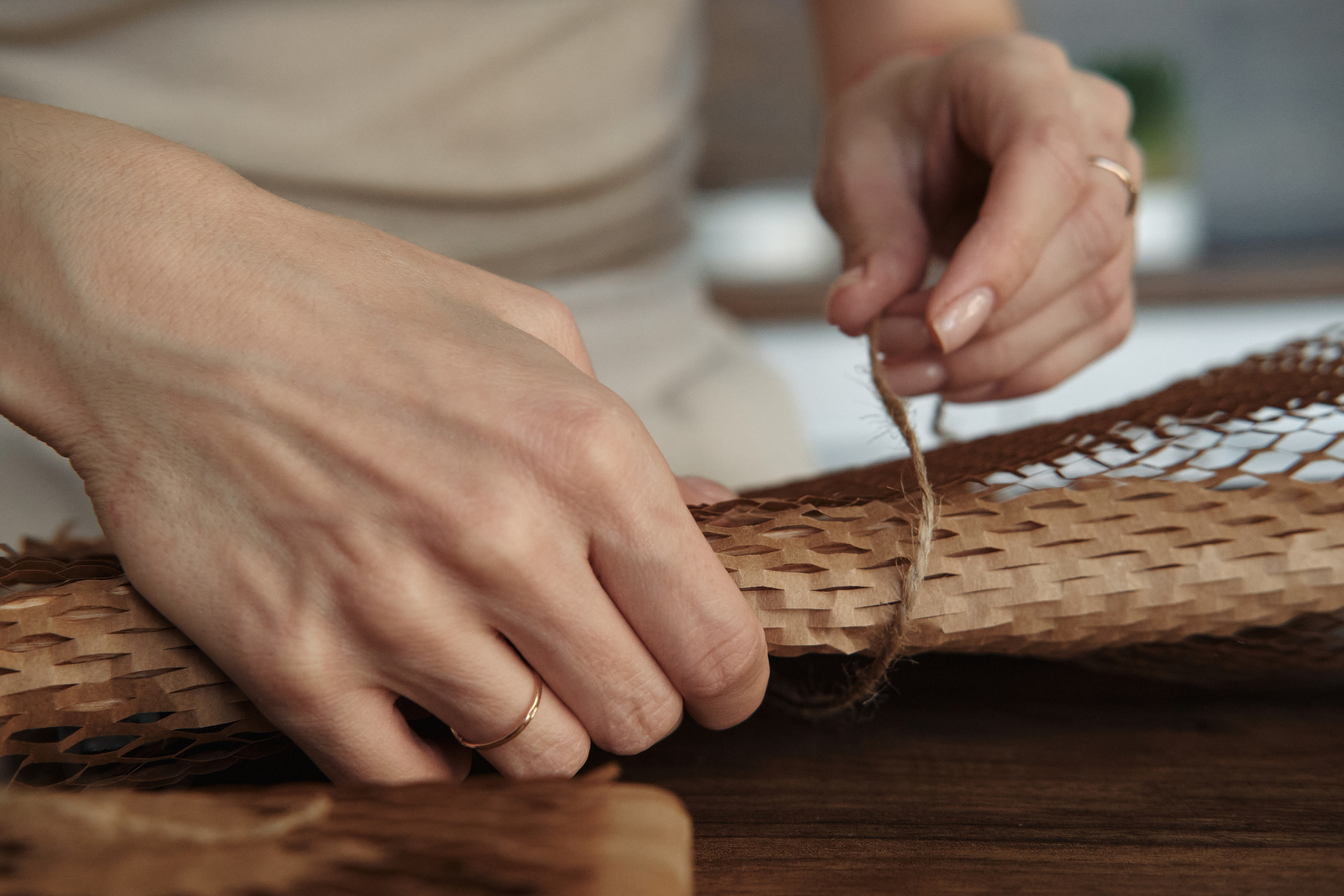 Chou Chou — товары для животных. Артём Кузнецов, фотограф, Новосибирск