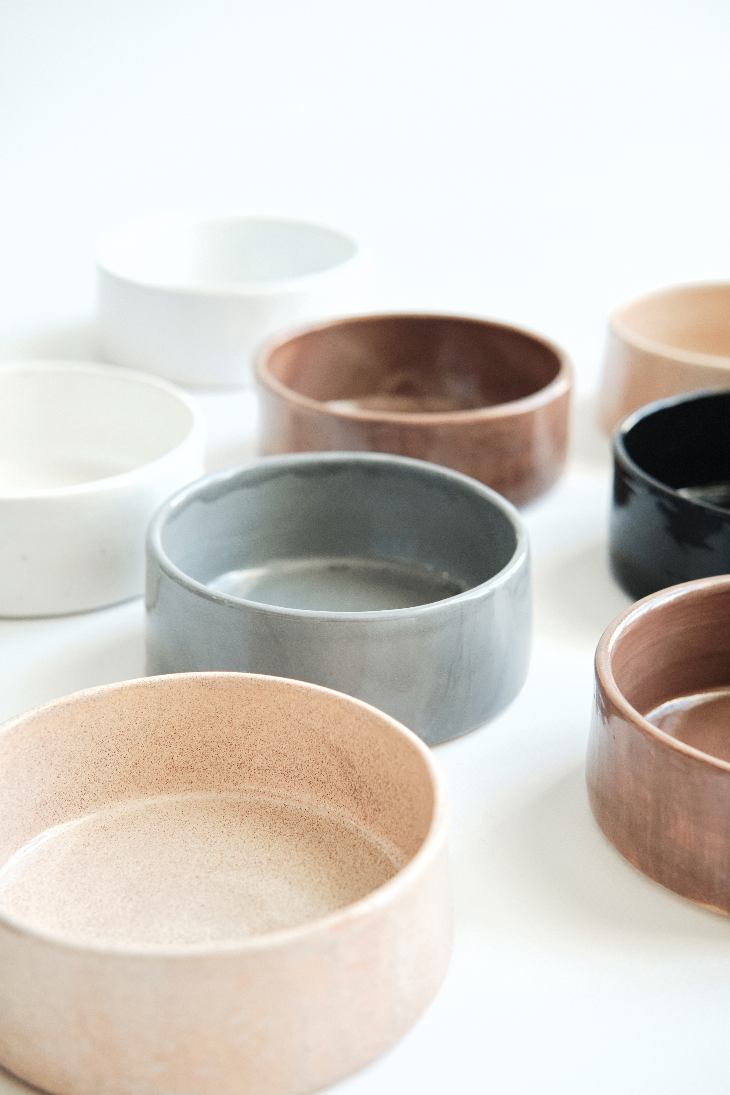 Chou Chou — товары для животных. Артём Кузнецов, фотограф, Новосибирск