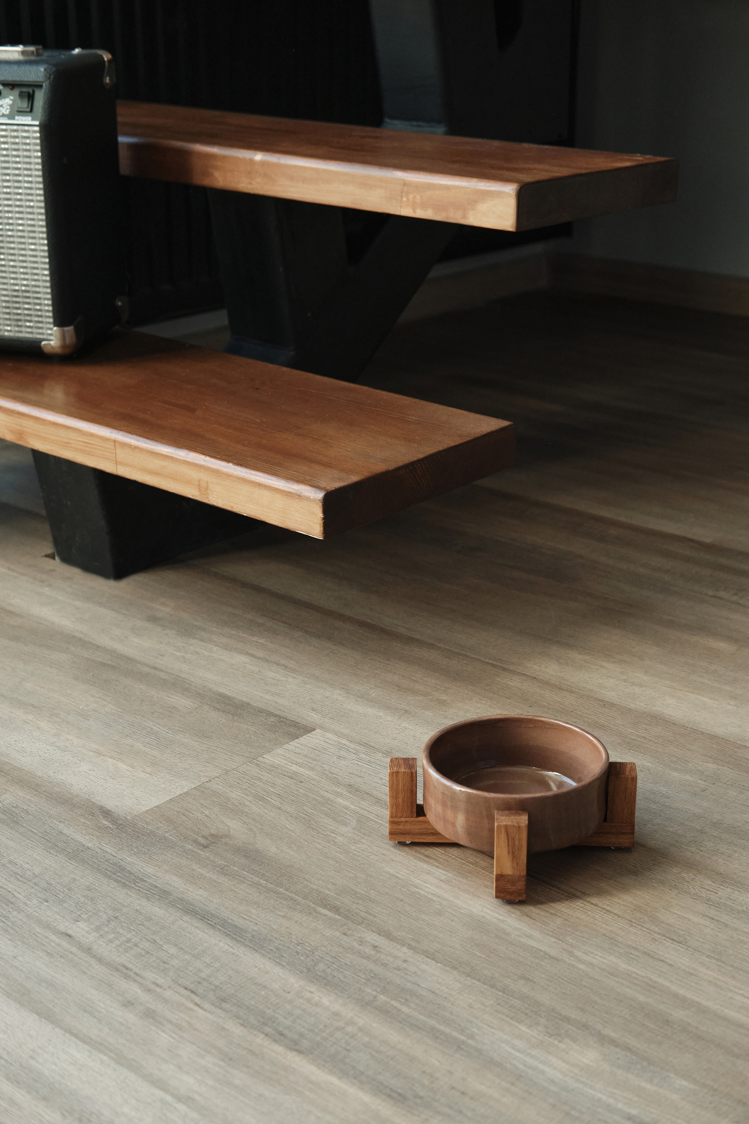 Chou Chou — товары для животных. Артём Кузнецов, фотограф, Новосибирск