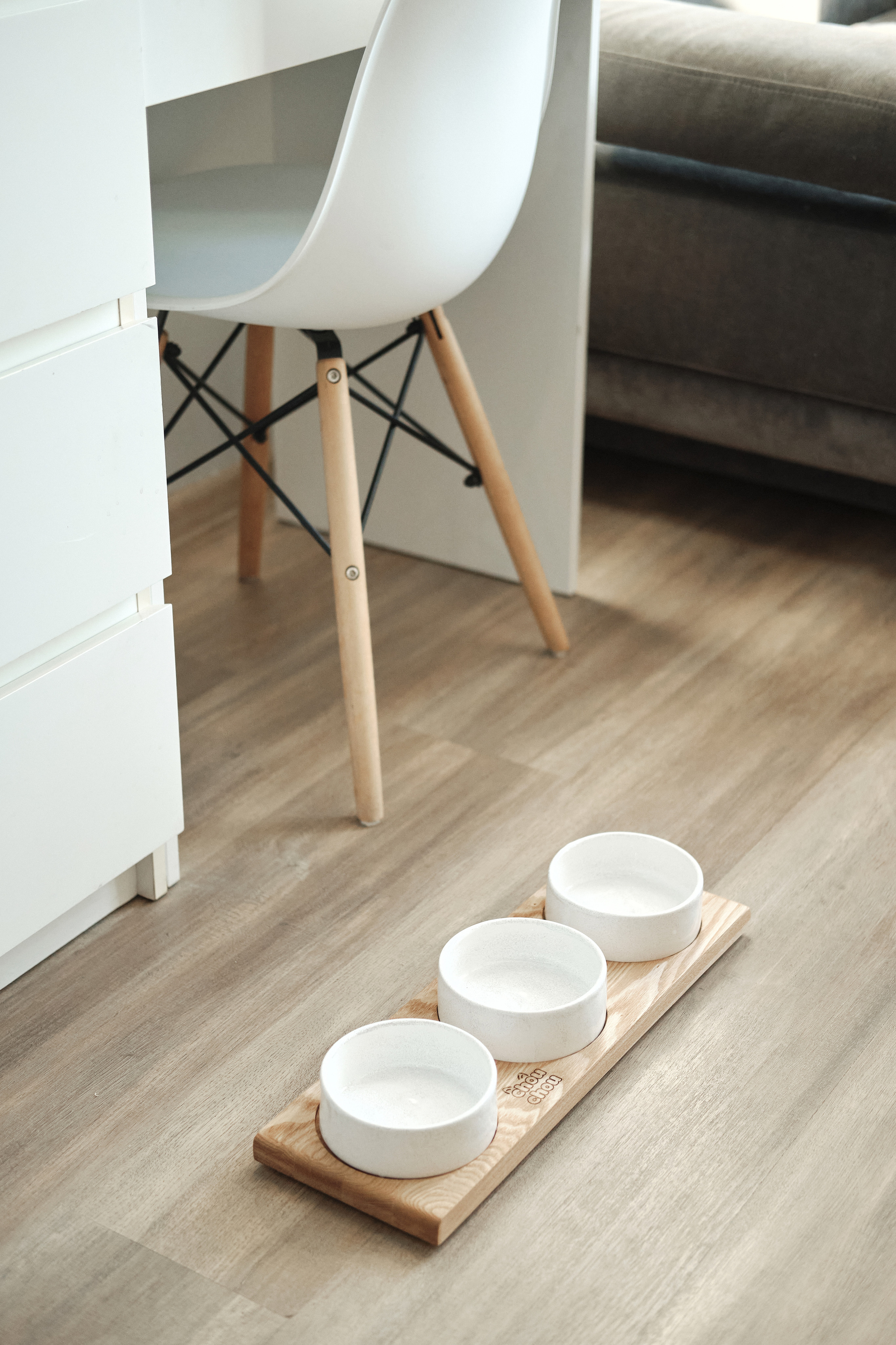 Chou Chou — товары для животных. Артём Кузнецов, фотограф, Новосибирск