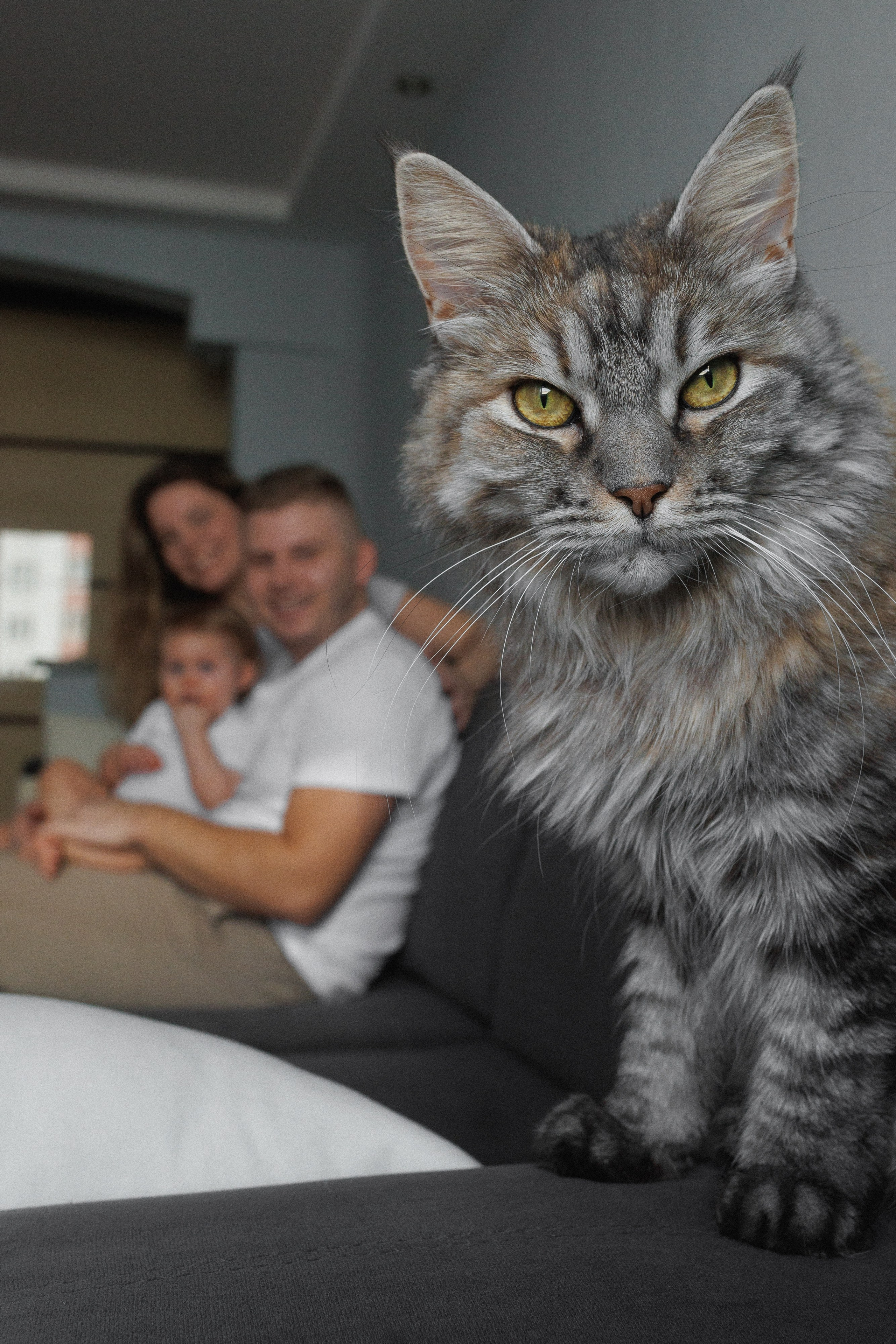 Семейные съемки. Репортажный фотограф Александр Задорин, Минск, Беларусь