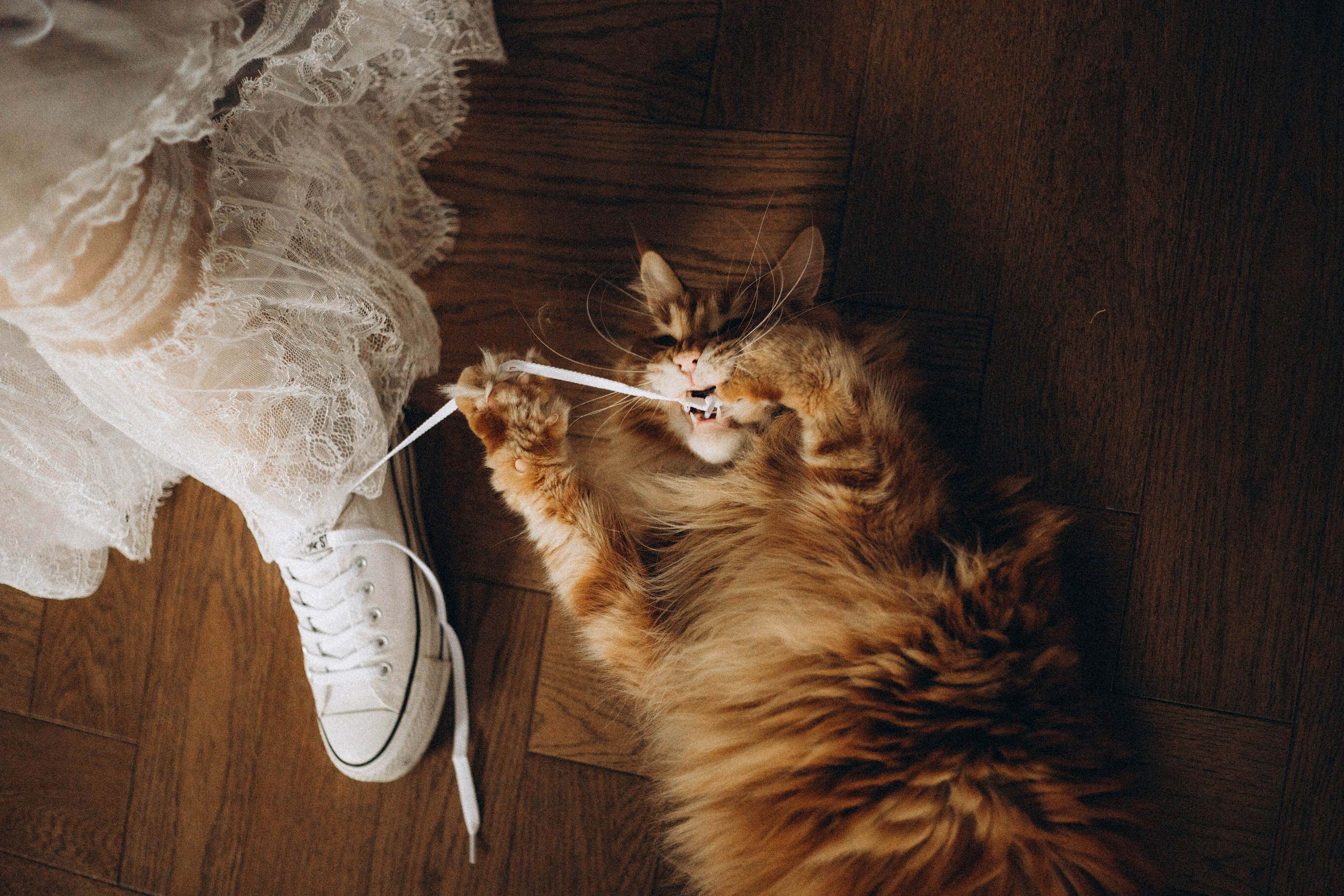 Свадебная фотосессия дома: lifestyle съемка сборов перед ЗАГСом 