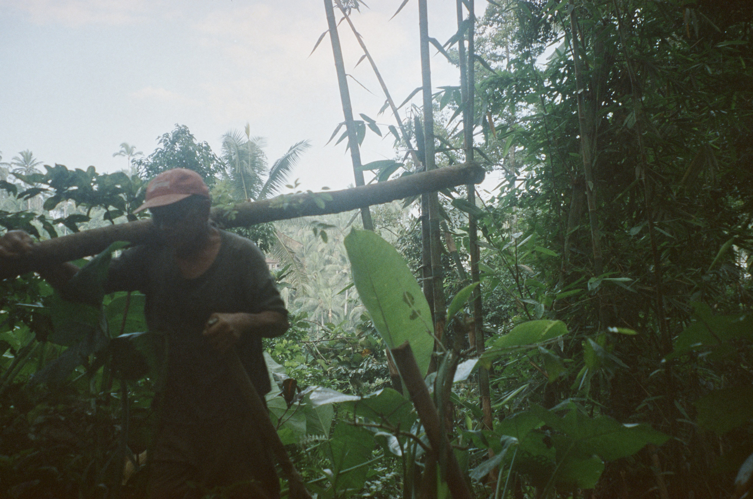 Who u are?. Carolinetru