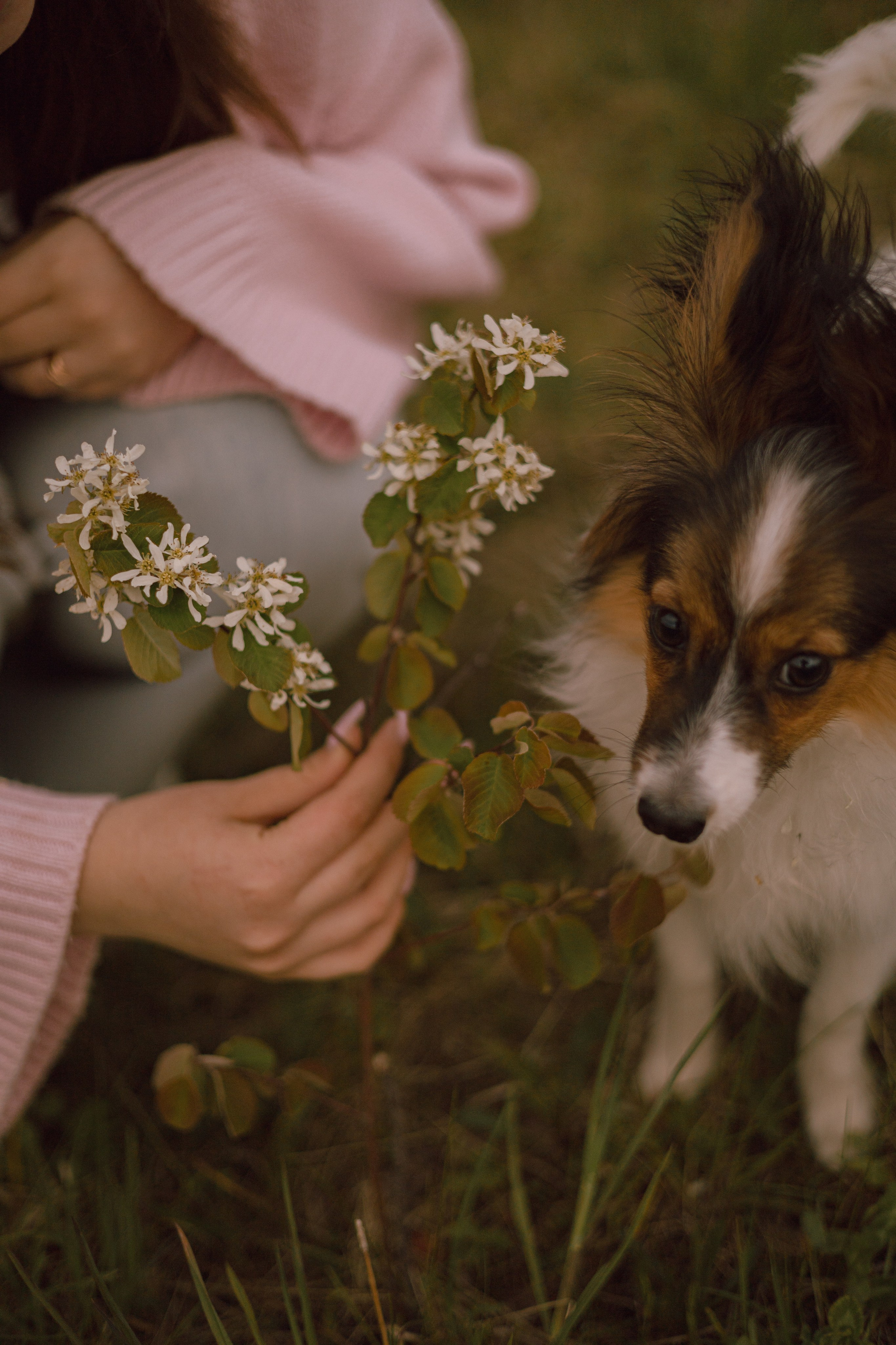 Вика и Бруни. Фотограф — анималист •love-story•|Санкт-Петербург