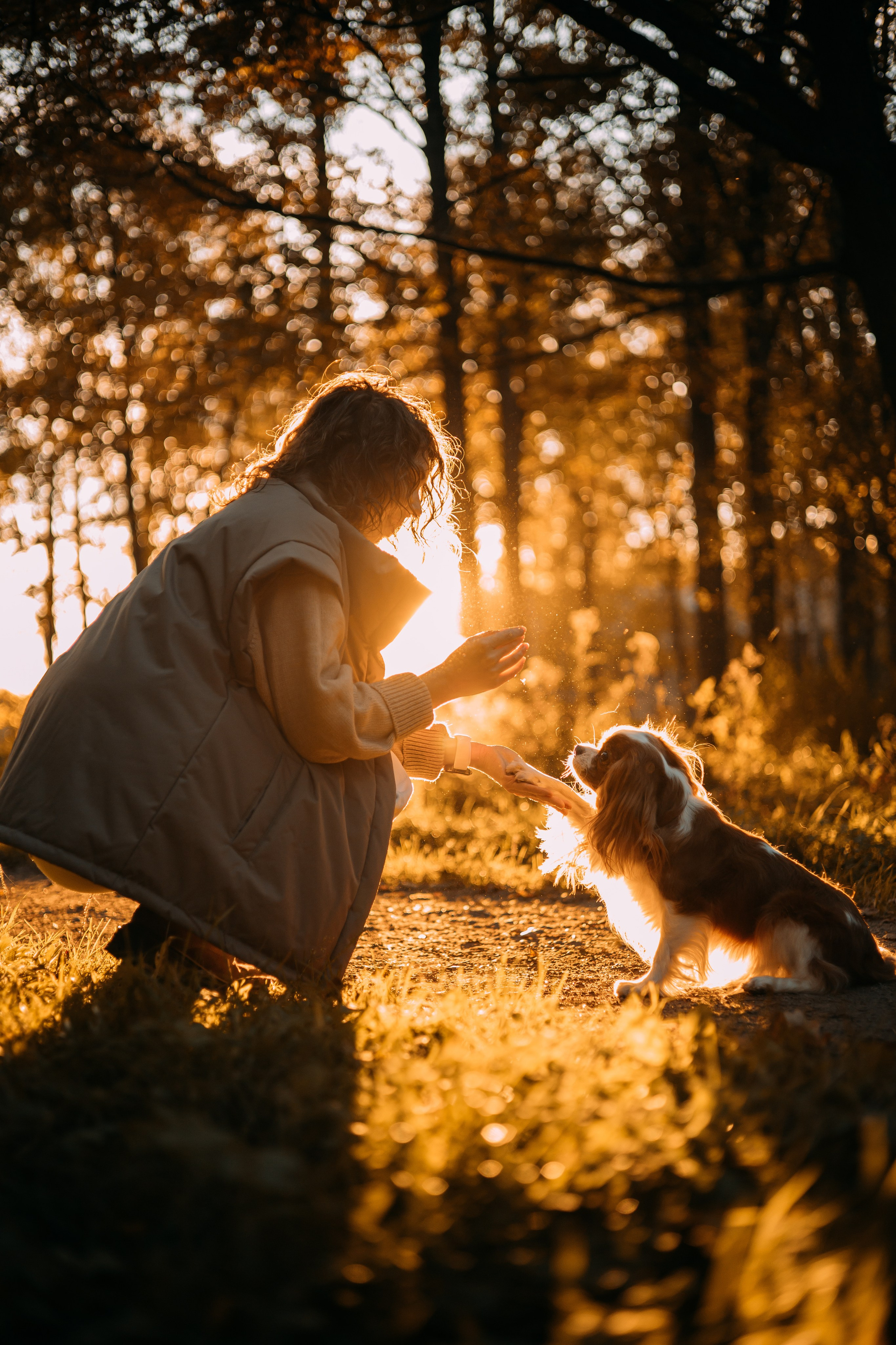 Снежанна и Тесси. Фотограф — анималист •love-story•|Санкт-Петербург