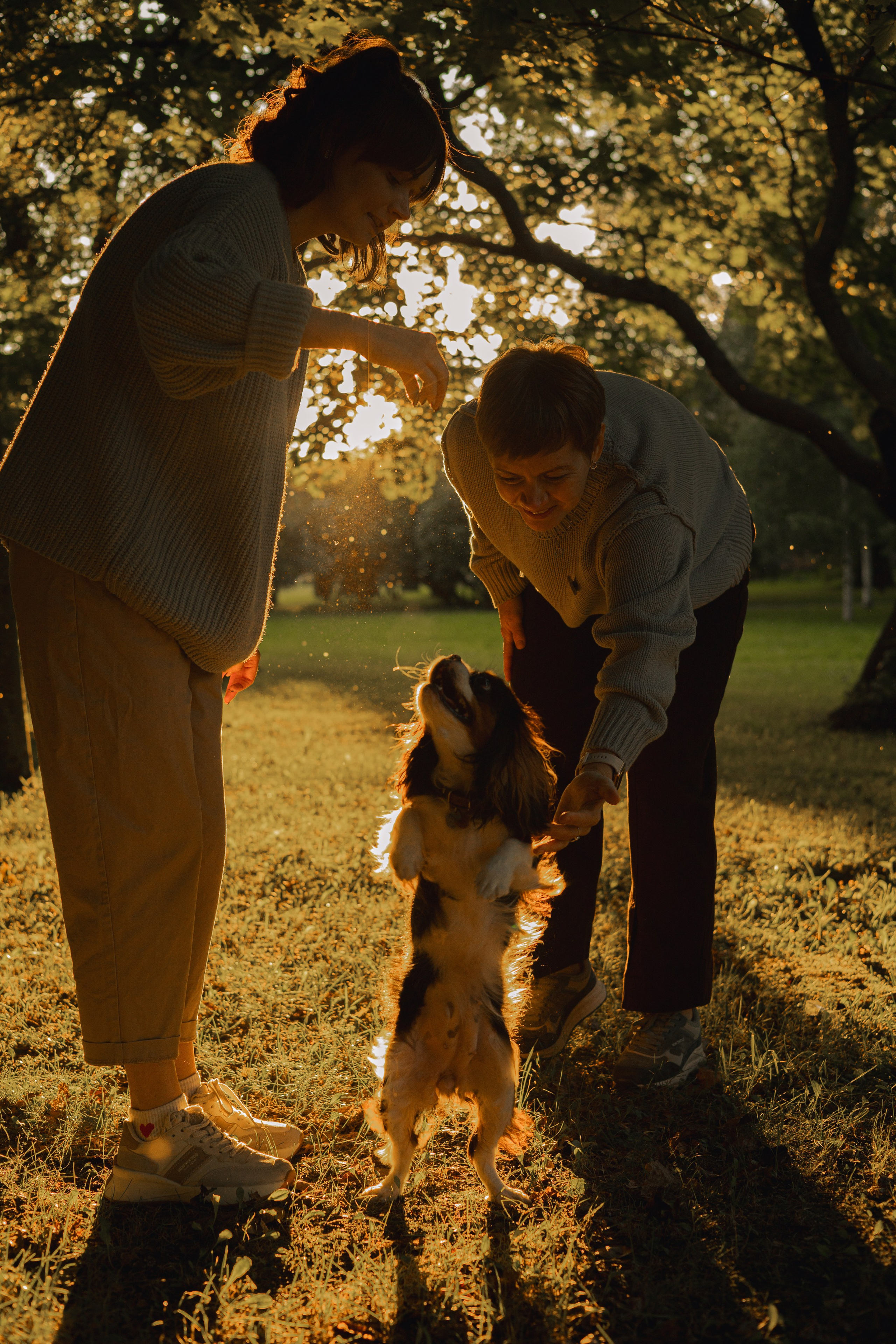 Один день из жизни Стеши и её родных. Фотограф — анималист •love-story•|Санкт-Петербург