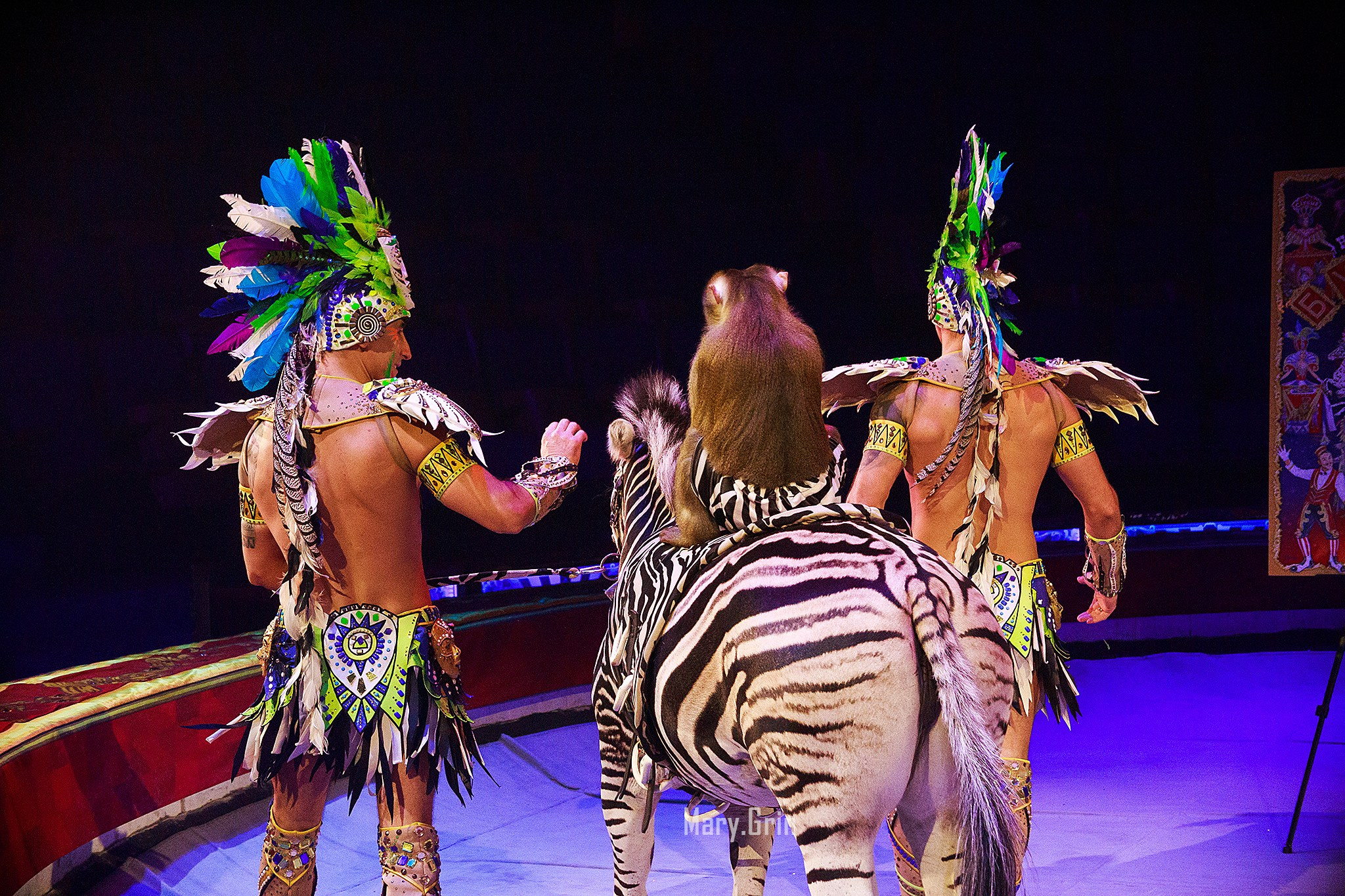 Цирк Гии Эрадзе. Детский и семейный фотограф, фотограф мероприятий Нижний Новгород