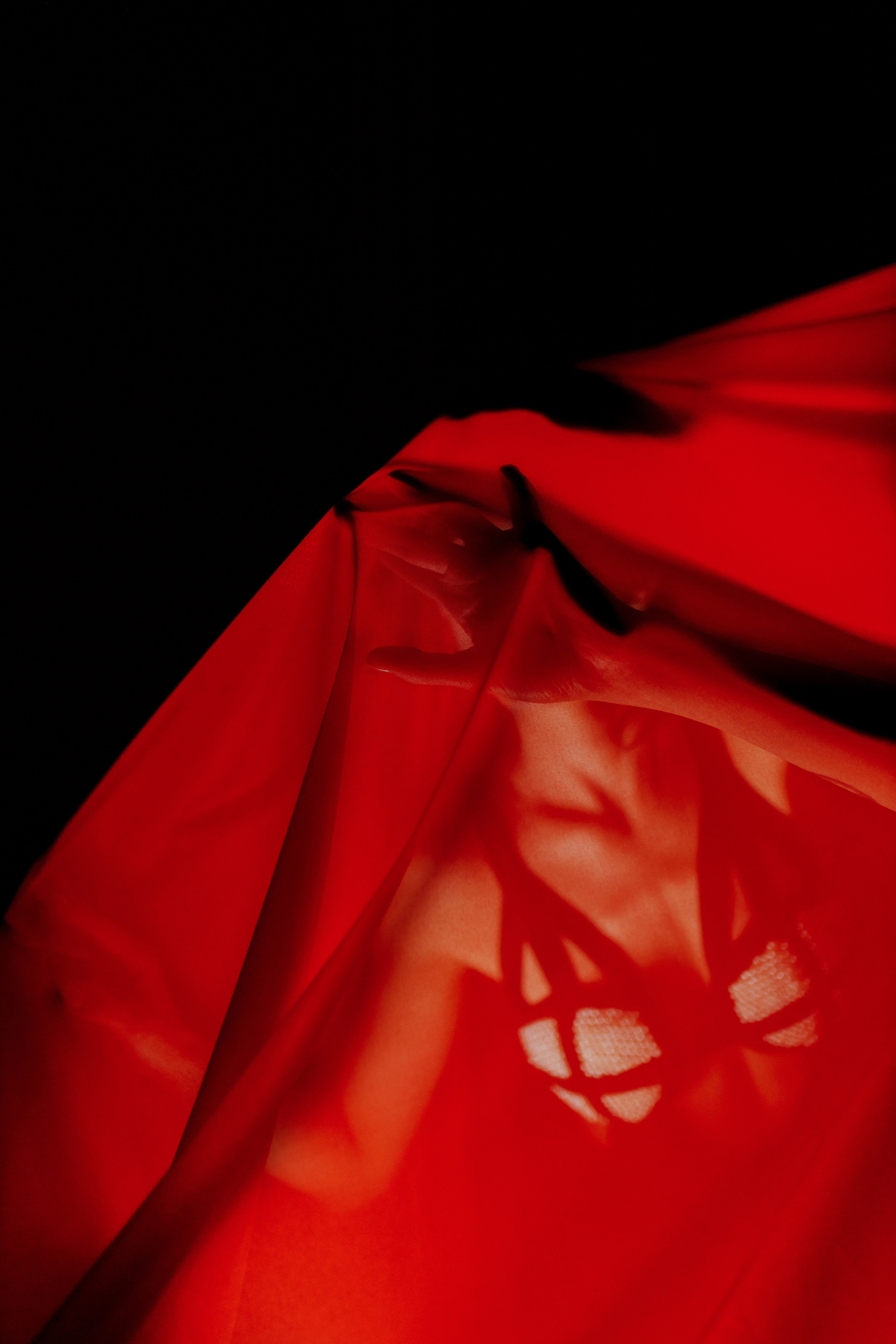 Алена. Свадебный фотограф Елена Ловцевич