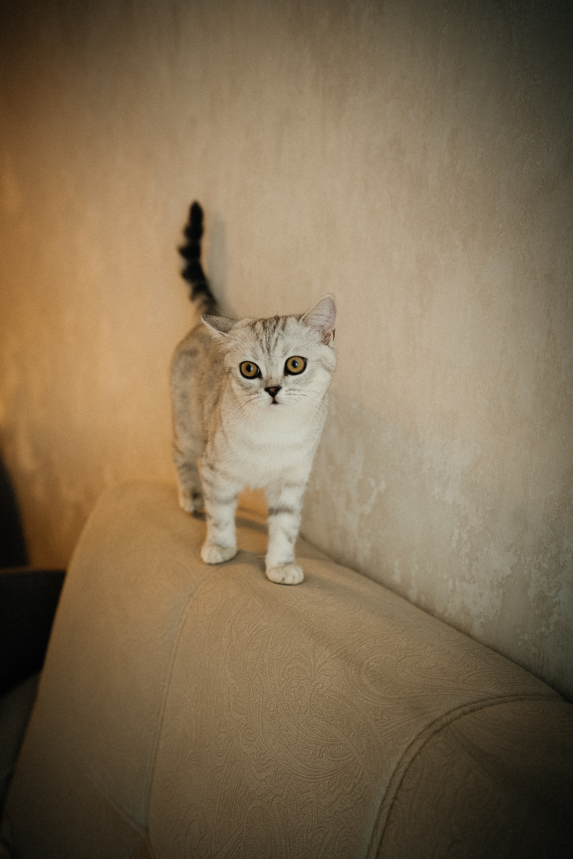 Семья Ксении и Максима. Фотограф | Юлия Арт| Обучение