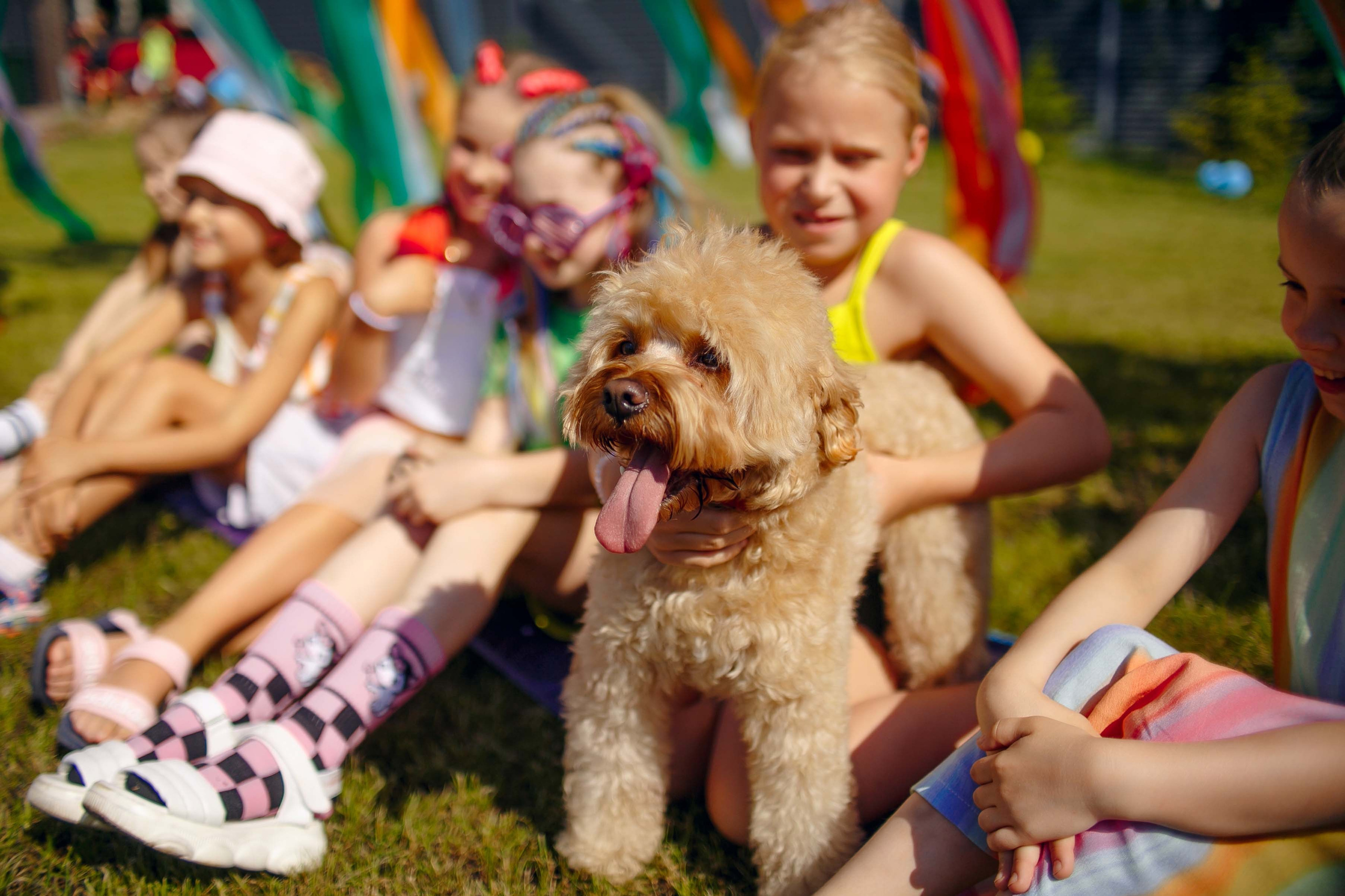 День рождения на природе. Ваш репортажный фотограф Артемий Антонов