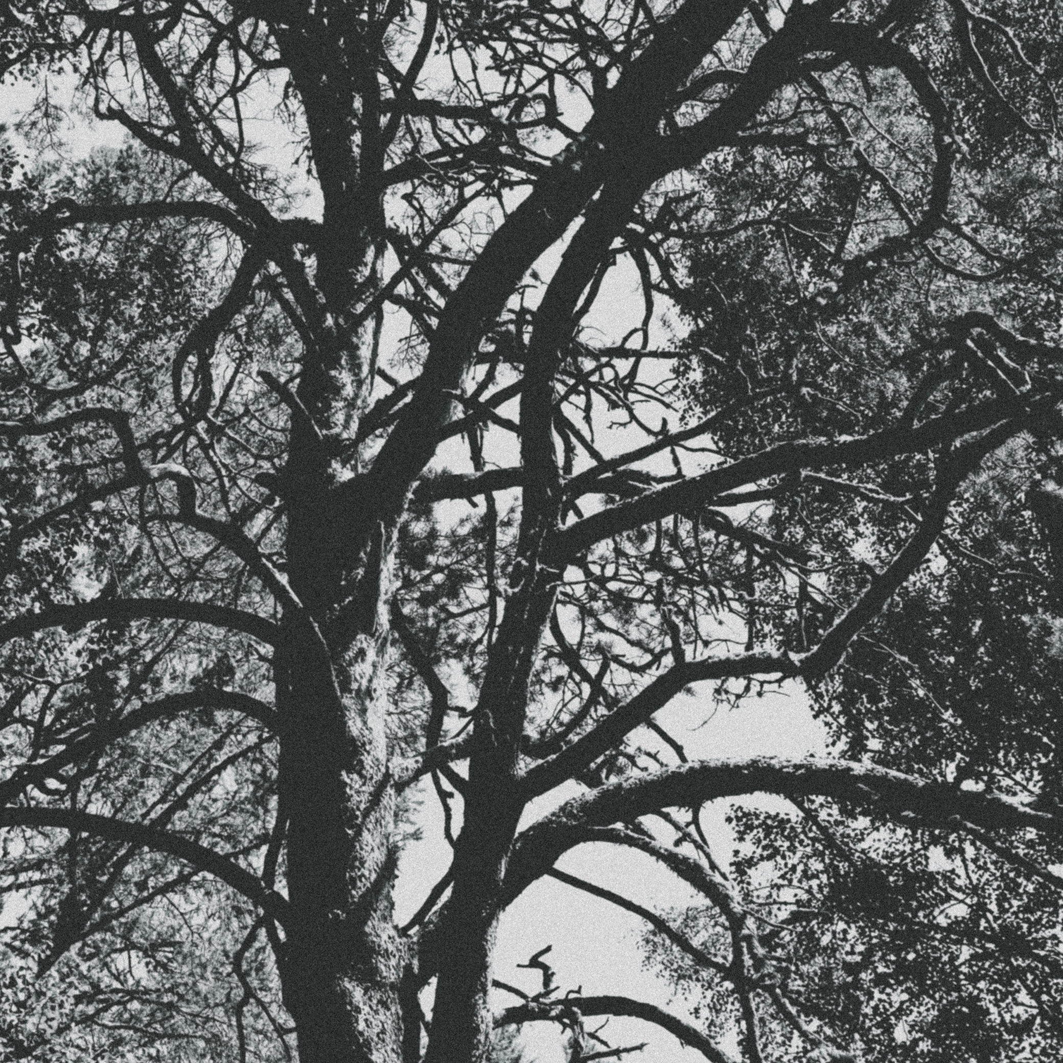 Summer hike. Фотограф/дизайнер в Екатеринбурге Хитрый Дмитрий