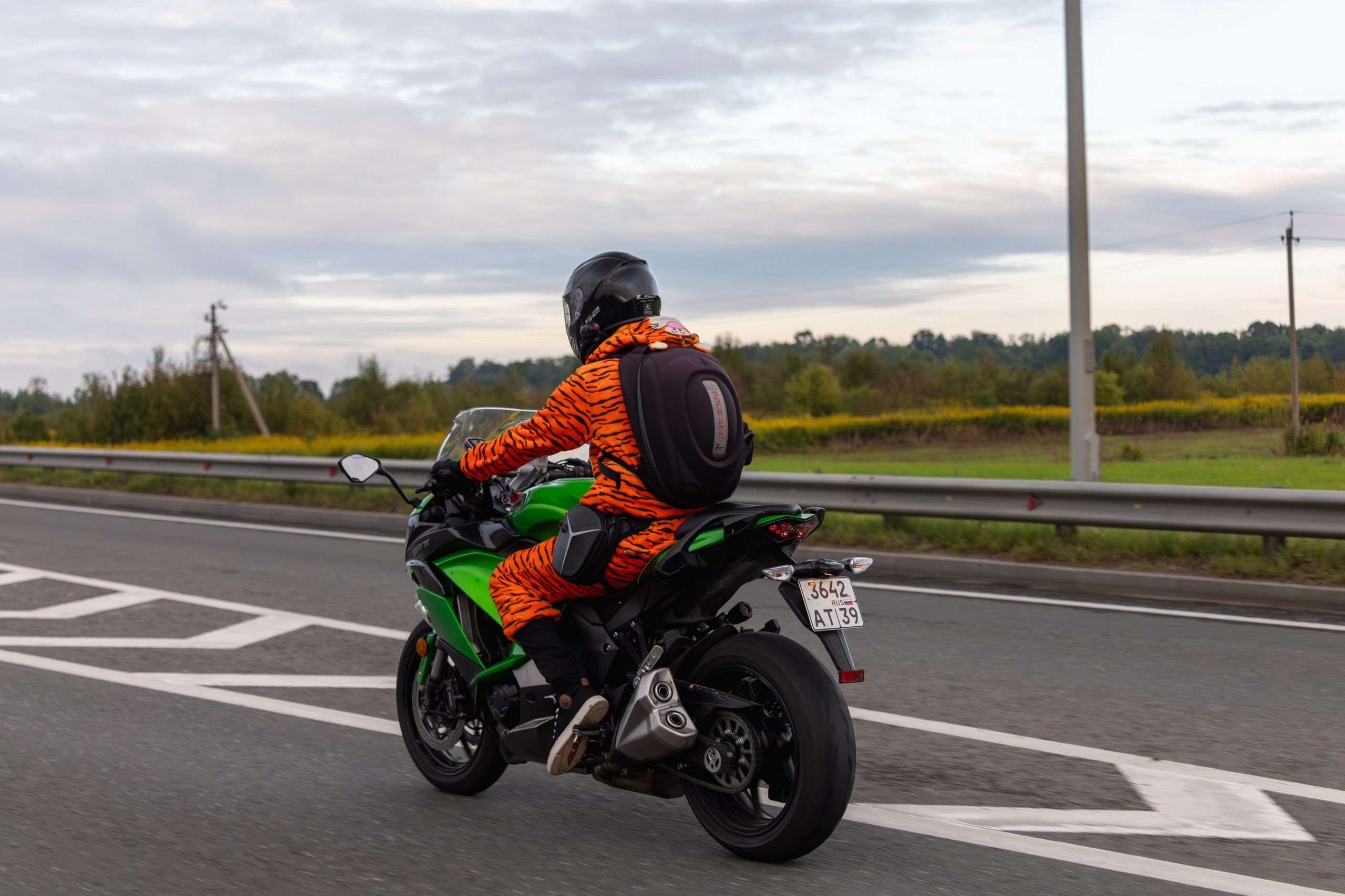 Закрытие Летнего сезона — 2025. — Digital Noise —