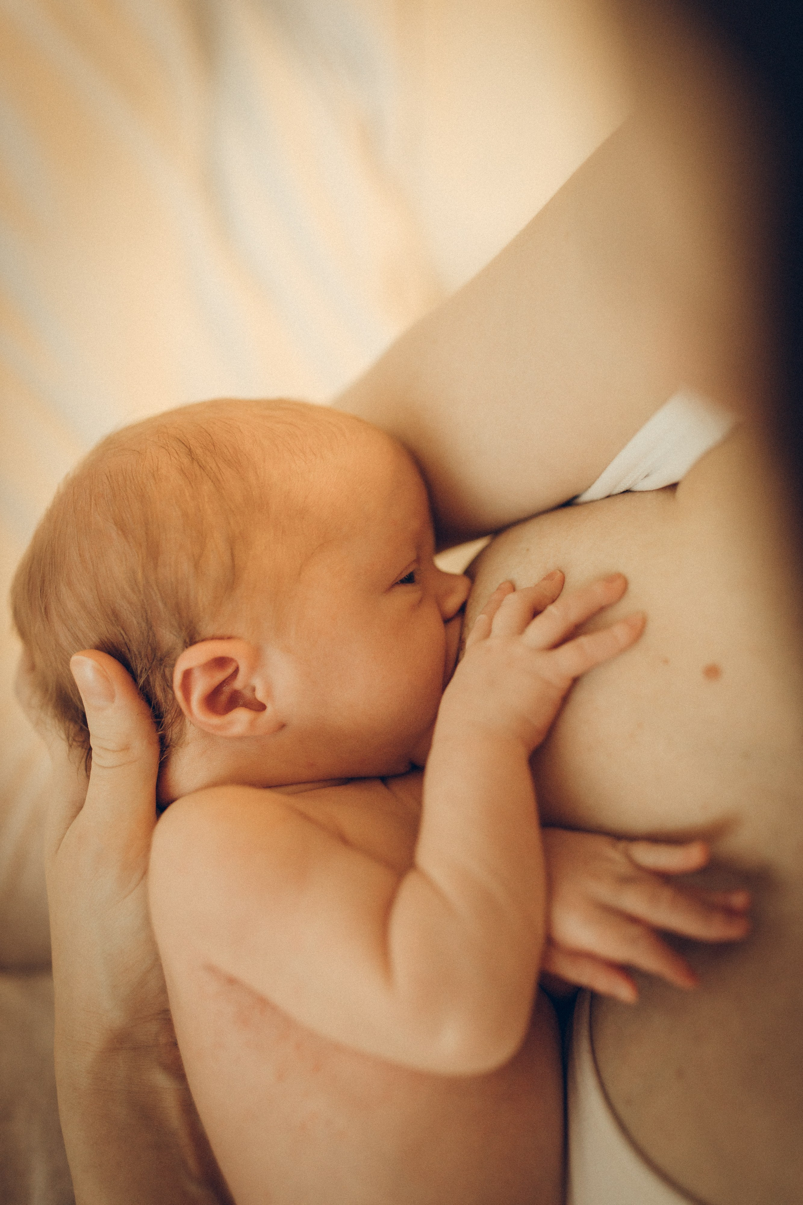 Вика, Леша и Алиса. Семейный фотограф и фотограф на роды в Ростове-на-Дону Мухина Виктория