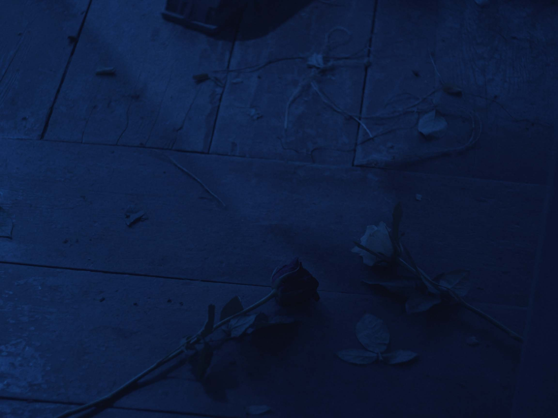 Розы Анны. Цветокоррекция видео