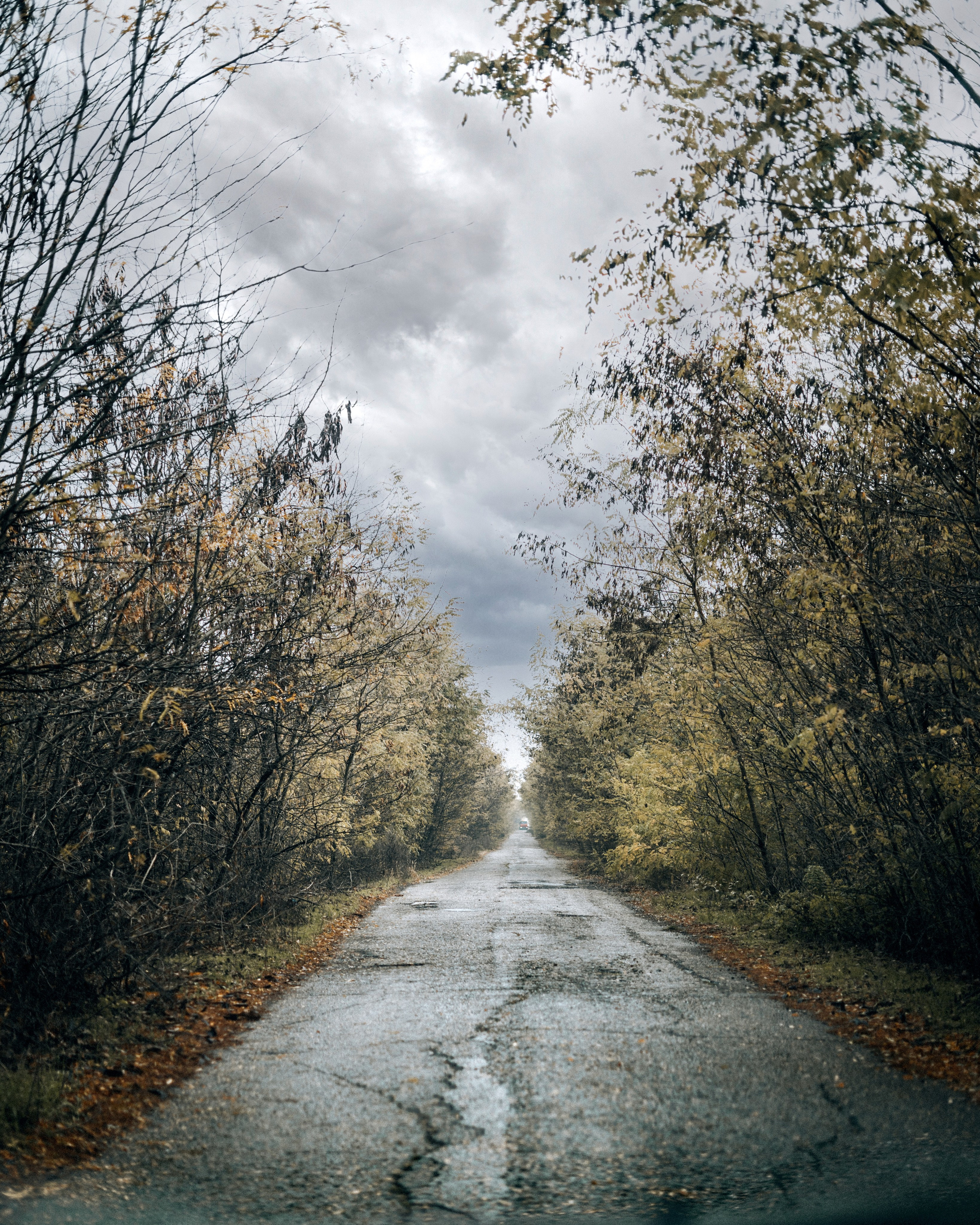 Стрит-фотография, улицы Краснодара и пригорода. Фотограф и видеограф в Новотитаровской и Краснодаре — Олег Ананко