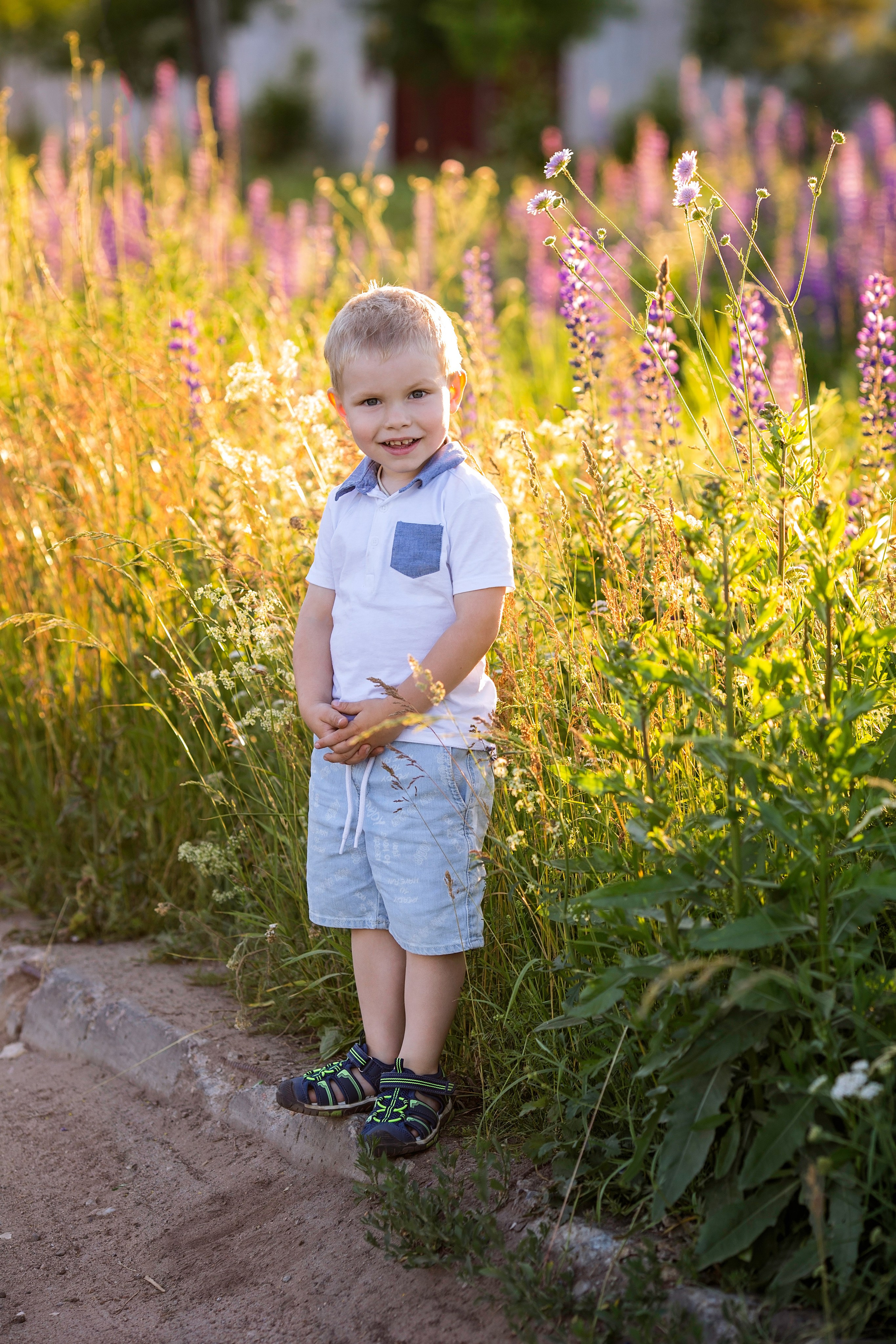 Индивидуальная фотосессия в люпинах (Анна). Главная